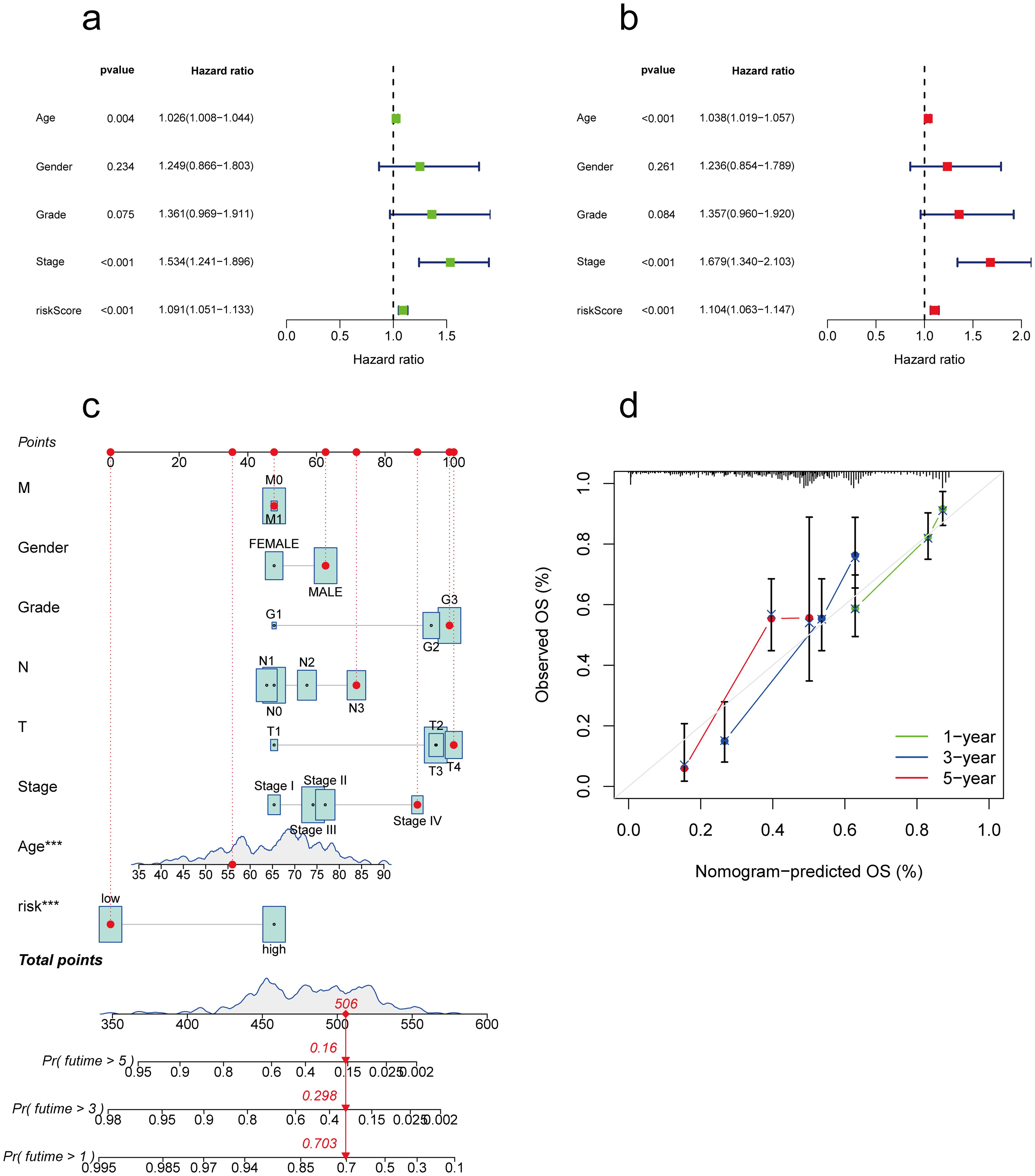 Visualization of the univariate and multivariate prognostic analyses and patients’ survival prediction.