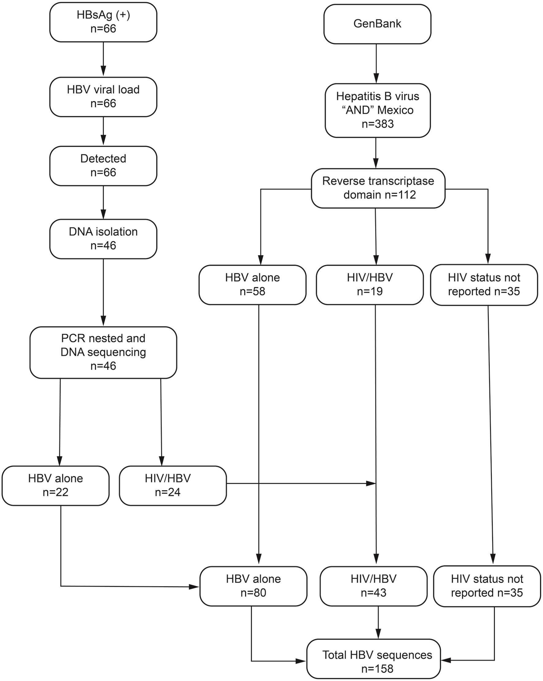 Flow diagram of the enrollment of the HBV sequences analyzed in this study.