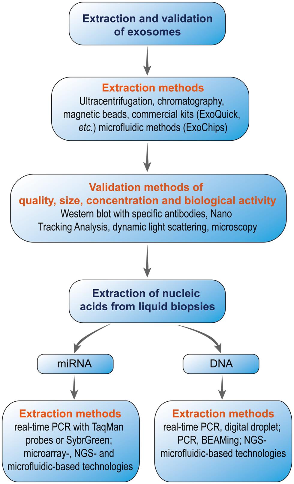 Summary of the exosome- and nucleic acid-based technologies.