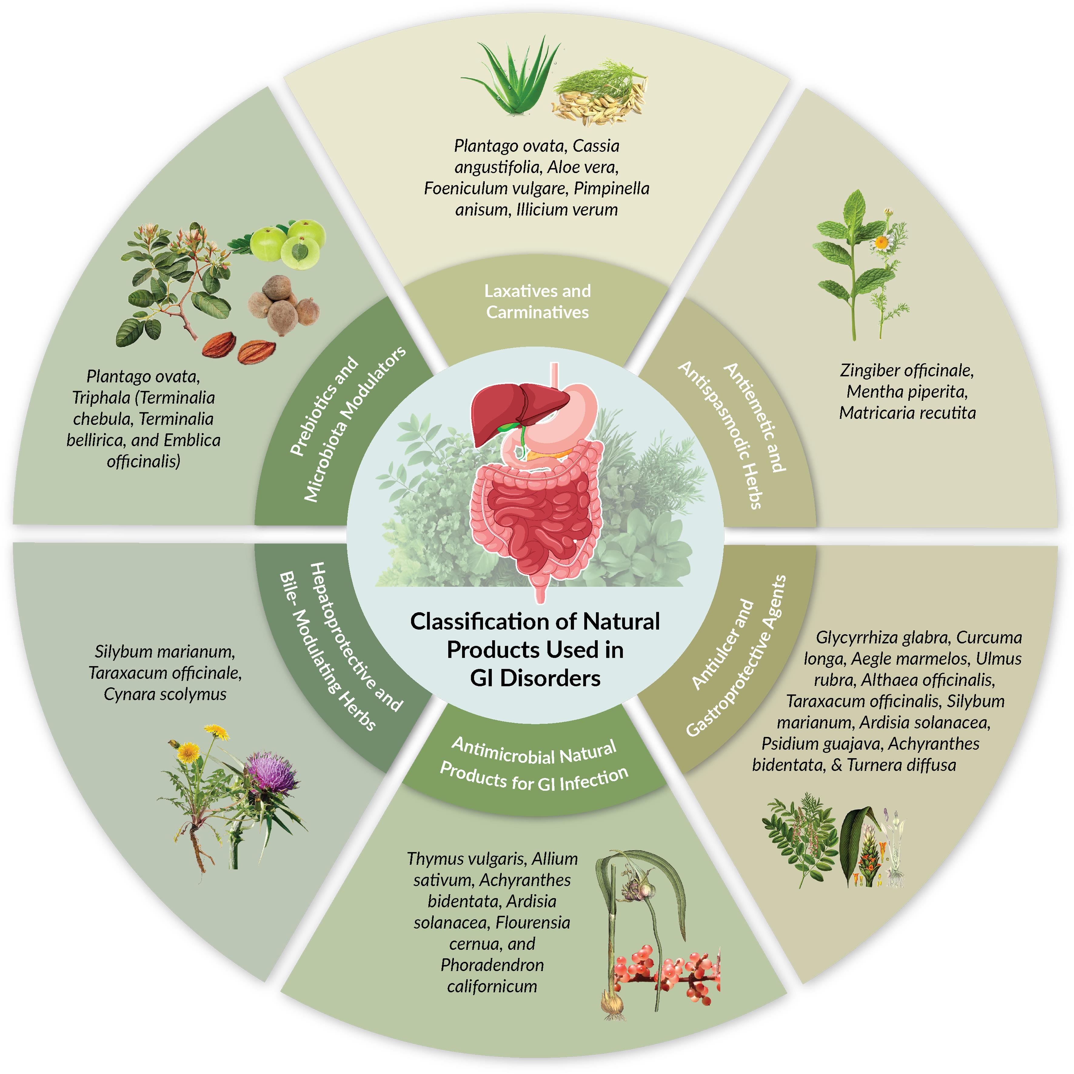 Classification of natural products used in gastrointestinal (GI) disorders.