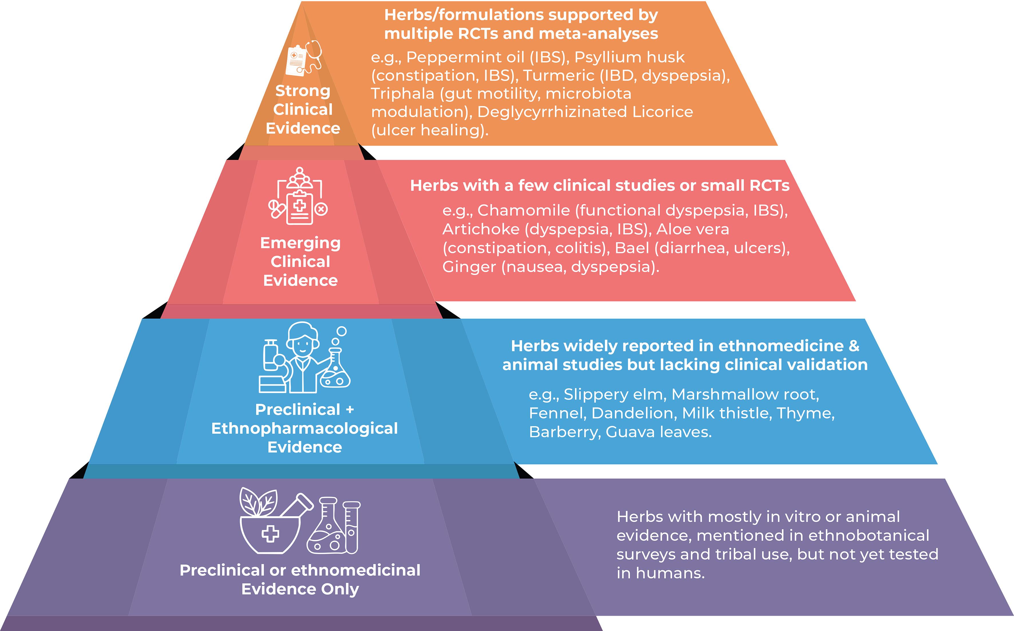 Evidence pyramid for herbal medicines in gastrointestinal disorders.