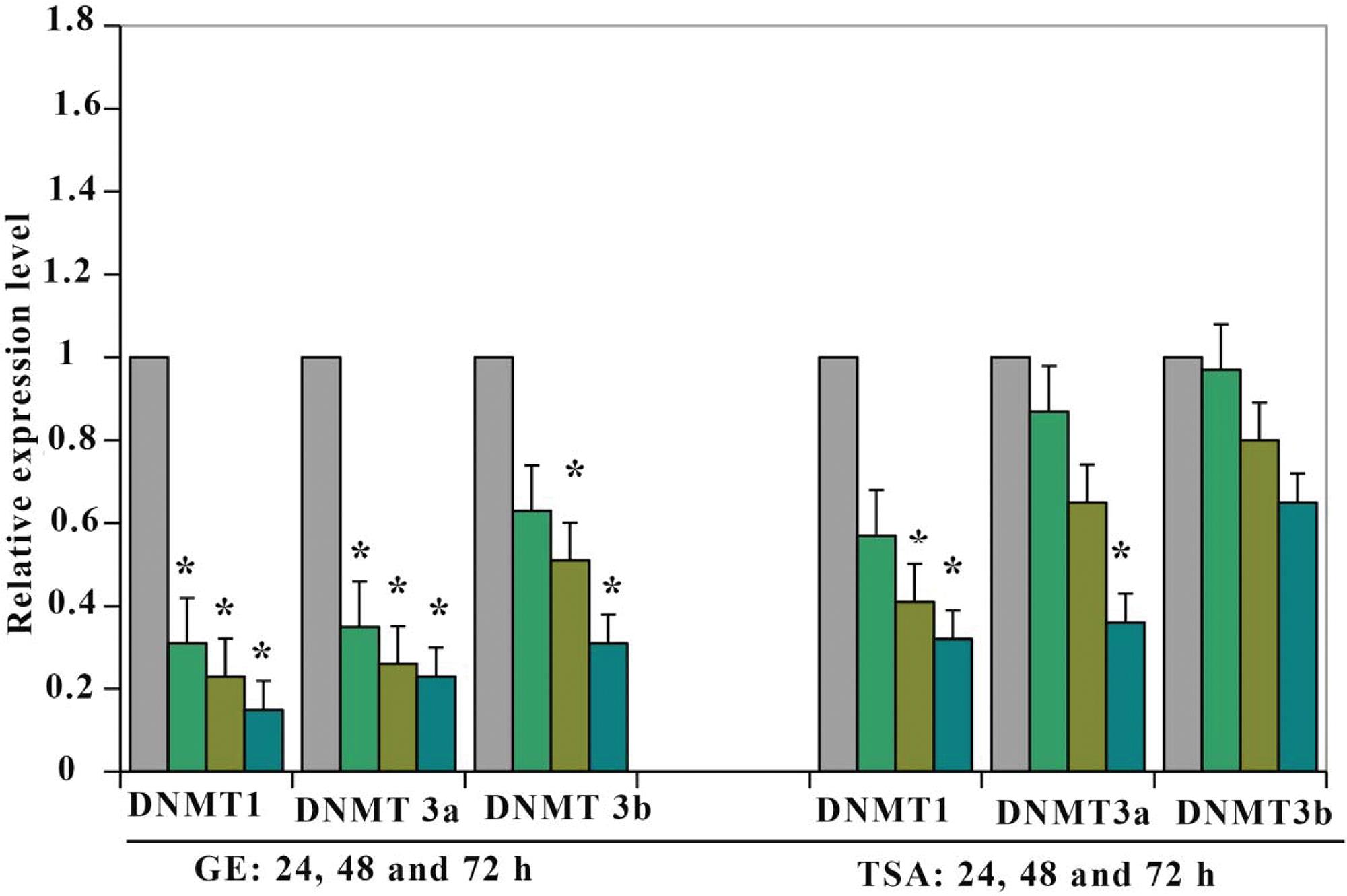 Relative expression levels of DNMT1, DNMT3a and DNMT3b.