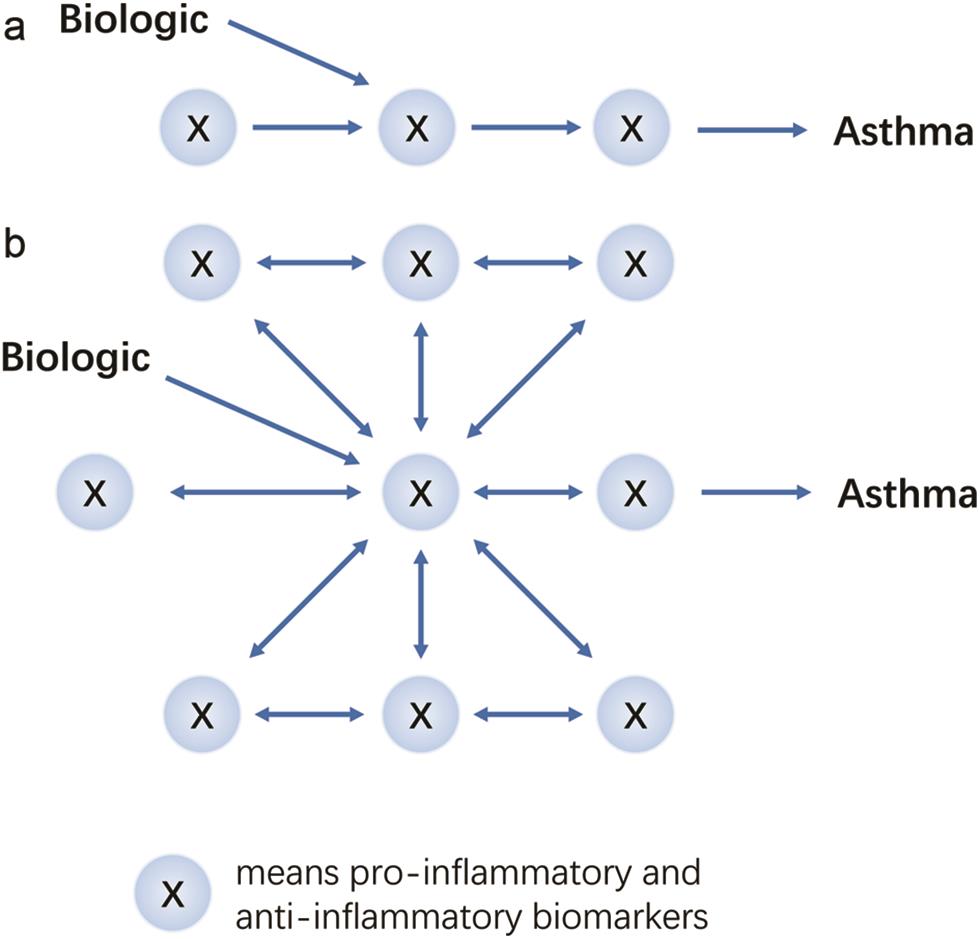 Two models of how a biologic affects asthma.