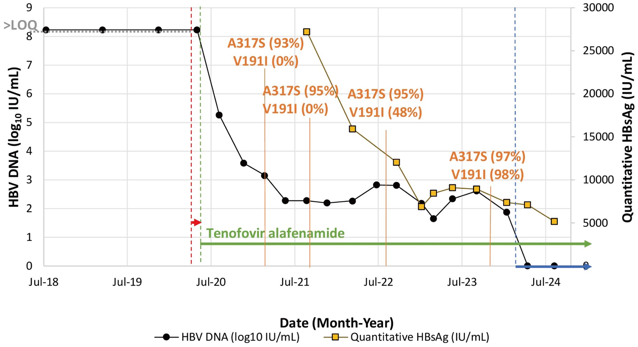 HBV DNA levels (log<sub>10</sub> IU/mL, cobas® HBV test) are displayed from July 2018 to April 2024.