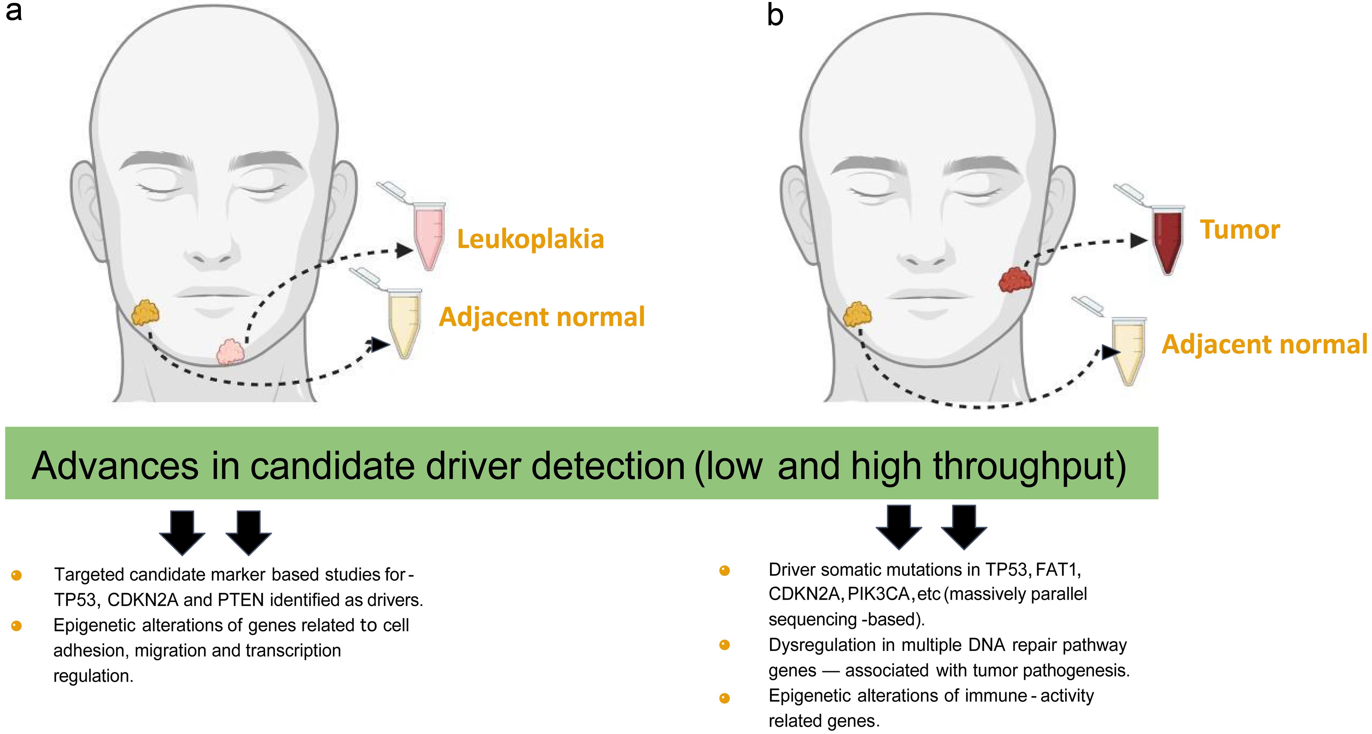 Candidate marker and omics-based findings associated with tumor progression in disparate patients with oral leukoplakia (a) and tumor (b) in their oral cavities.