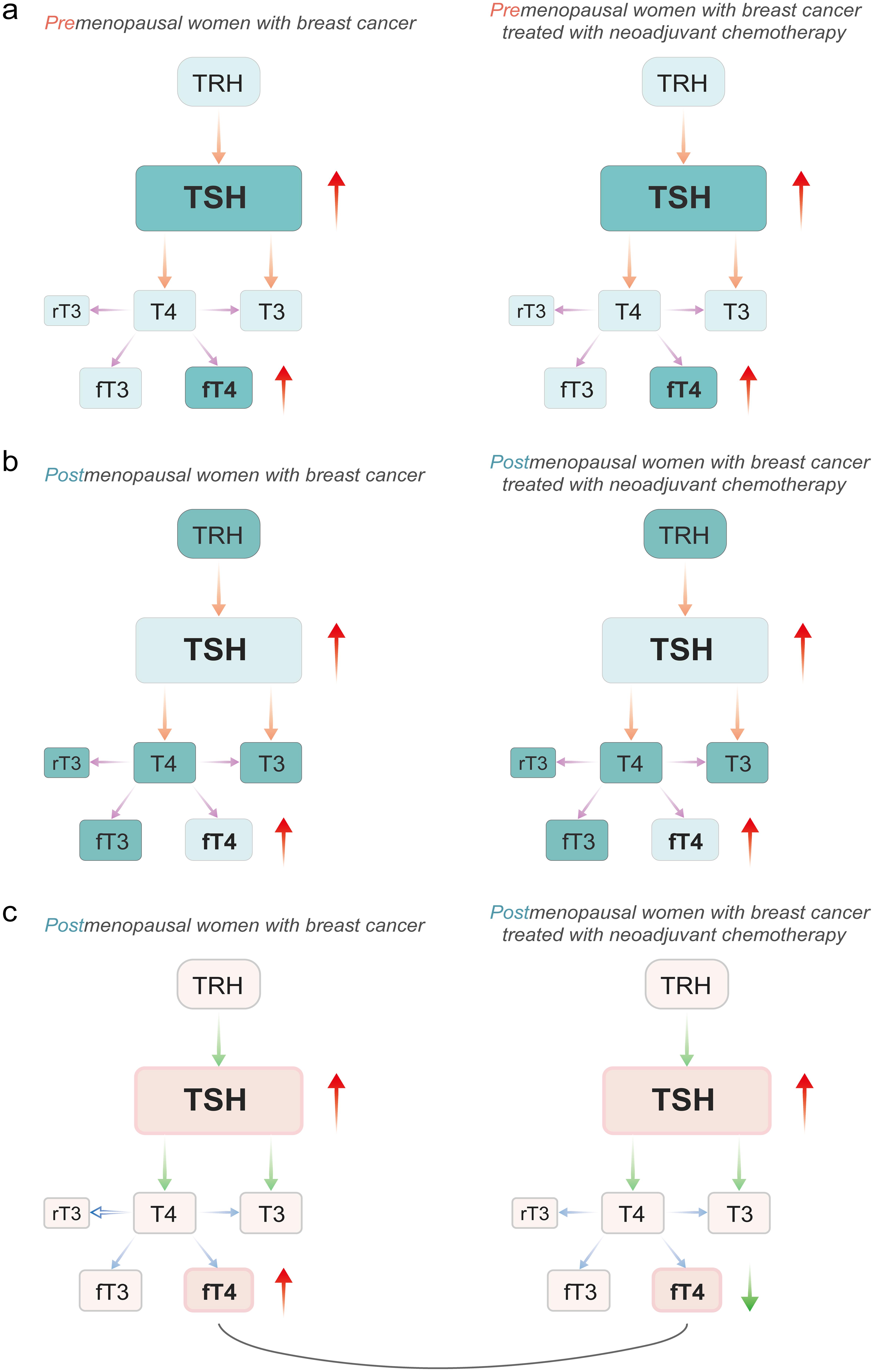 Changes in thyroid stimulating hormone (TSH) and free thyroxine (fT4) in premenopausal women (a) and postmenopausal women (b) with breast cancer, treated or not with neoadjuvant chemotherapy (NCh), when compared to their corresponding control groups.