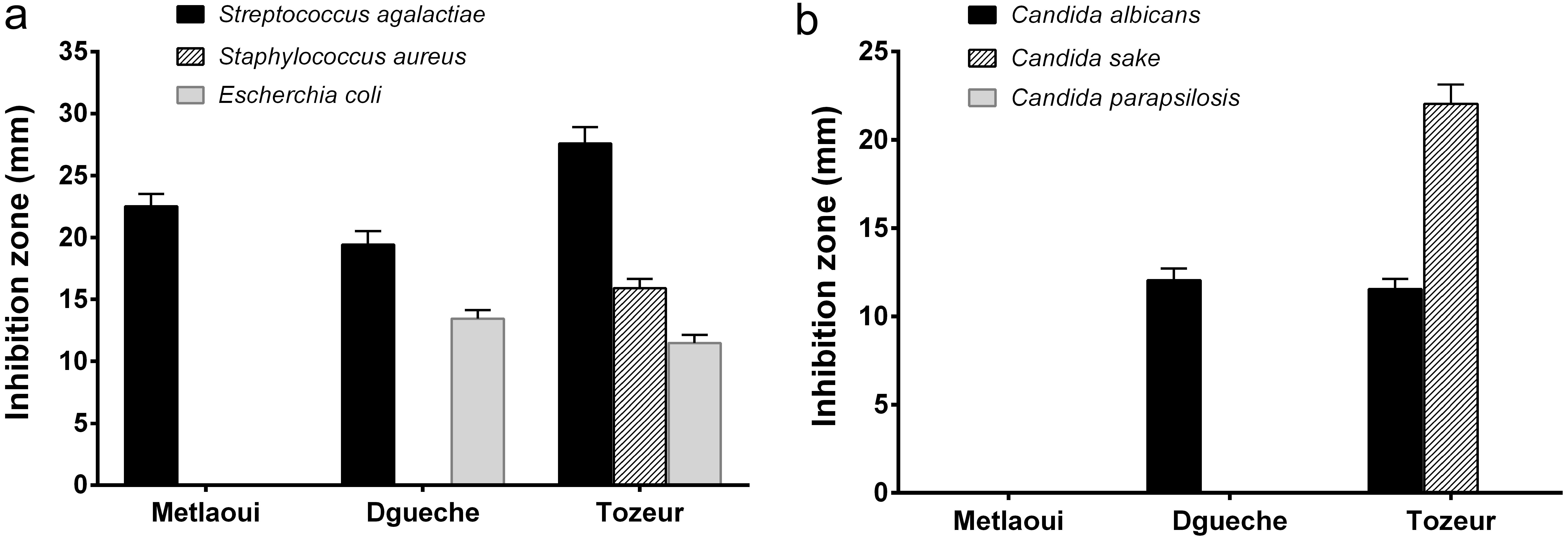 Antibacterial (a) and antifungal (b) activities of methanolic extracts of three <italic>Z. spina-christi</italic> extracts analyzed using the agar well diffusion method.