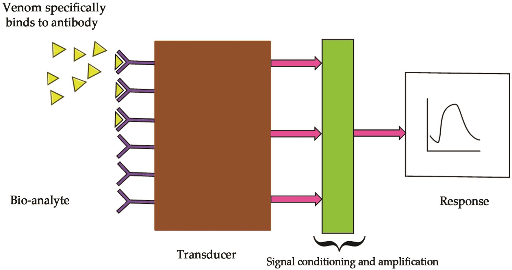 Block diagram of the biosensor showing the immobilization of different antivenom antibodies on the transducer surface.