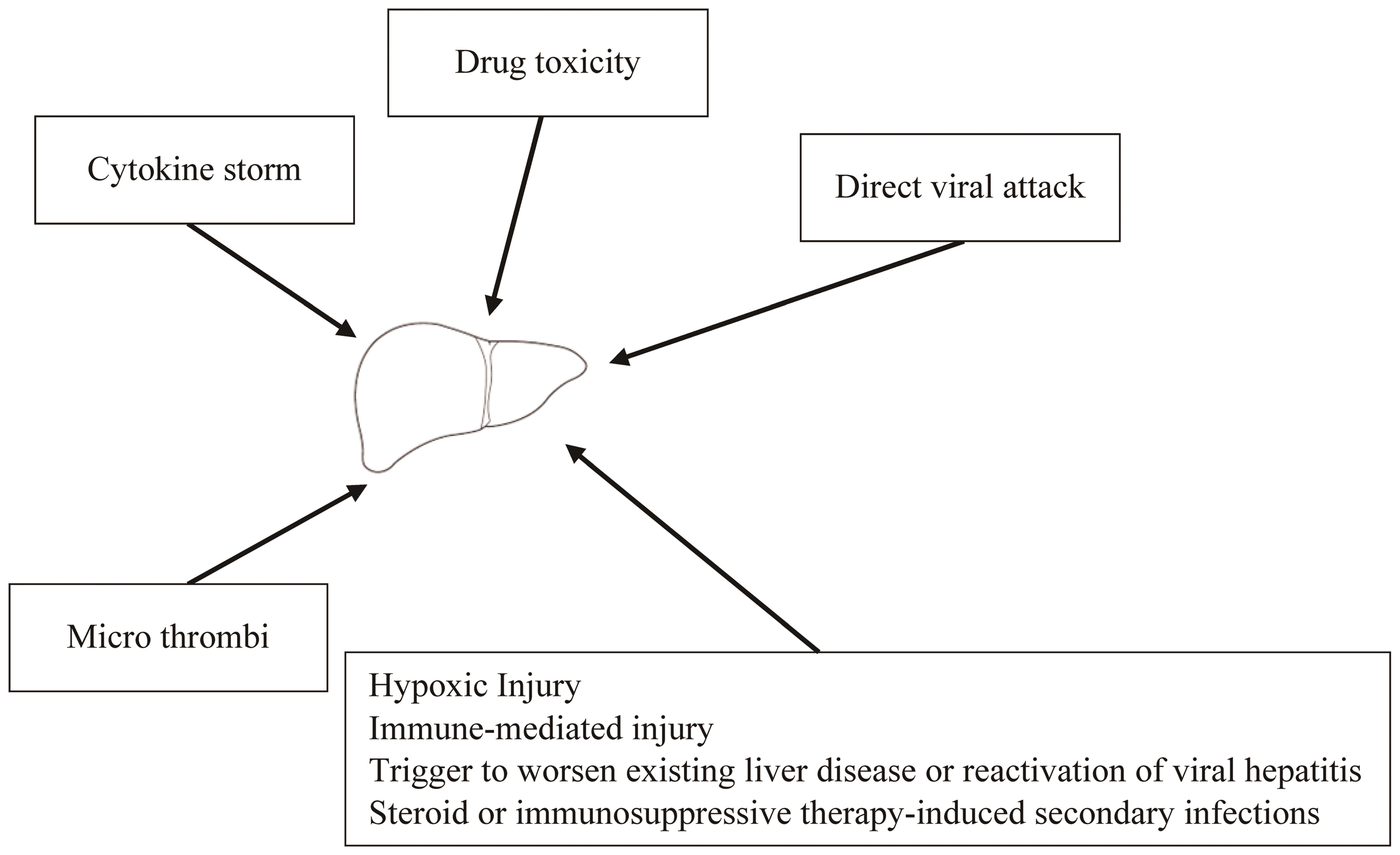 Possible mechanisms of effects of SARS-CoV-2 on liver.