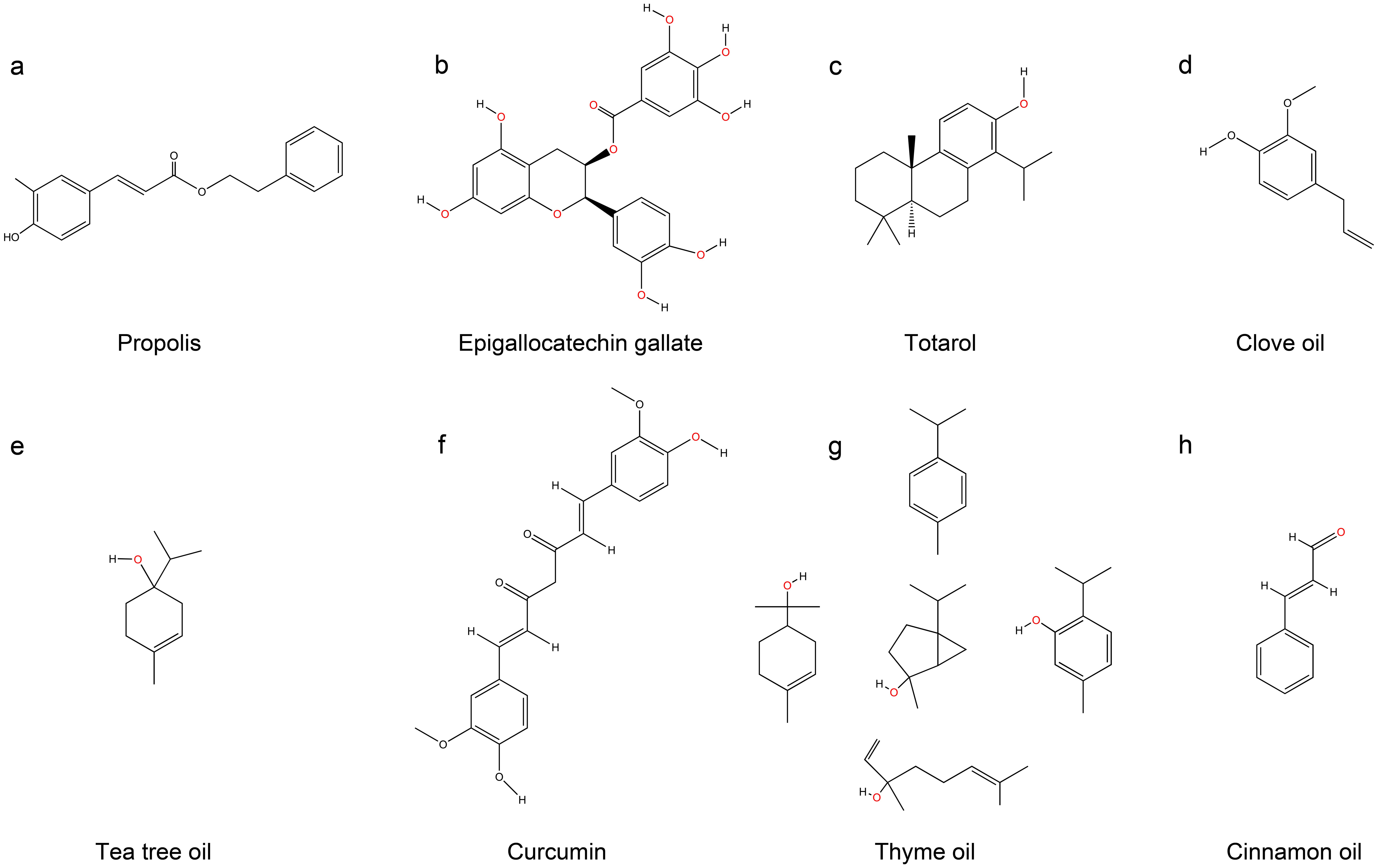 Molecular structures of key plant-derived antimicrobial agents explored in prosthodontics and oral implantology (a) Propolis, (b) Epigallocatechin gallate, (c) Totarol, (d) Clove oil, (e) Tea tree oil, (f) Curcumin, (g) Thyme oil, and (h) Cinnamon oil.