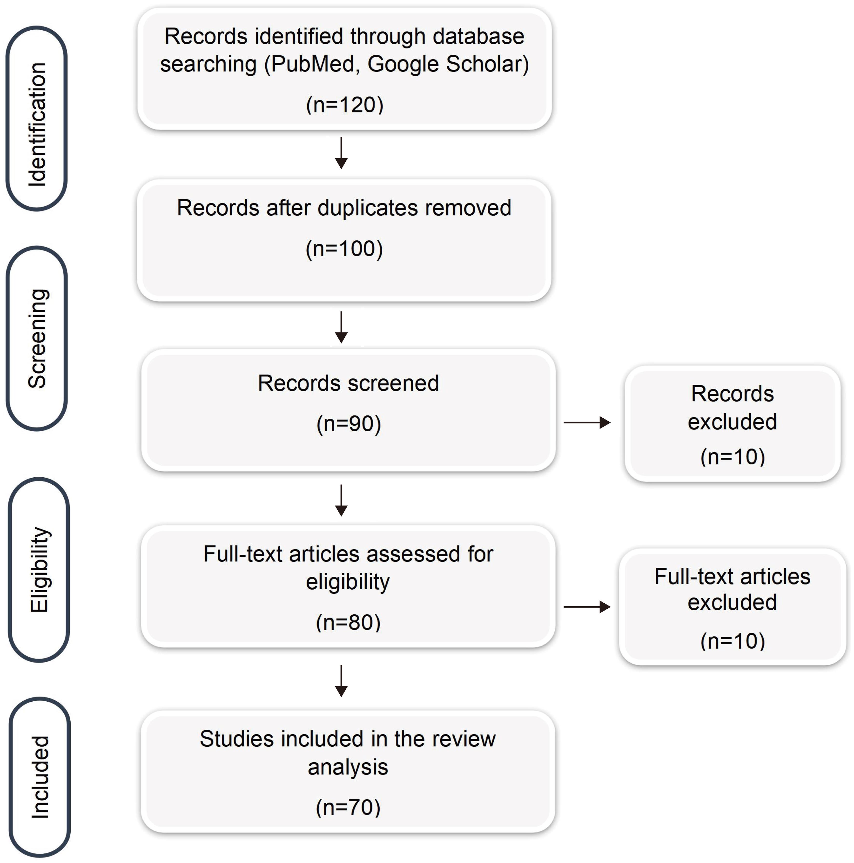 PRISMA (Preferred Reporting Items for Systematic Reviews and Meta-Analyses)-adapted flow diagram of the search strategy for the selection of articles for this review.