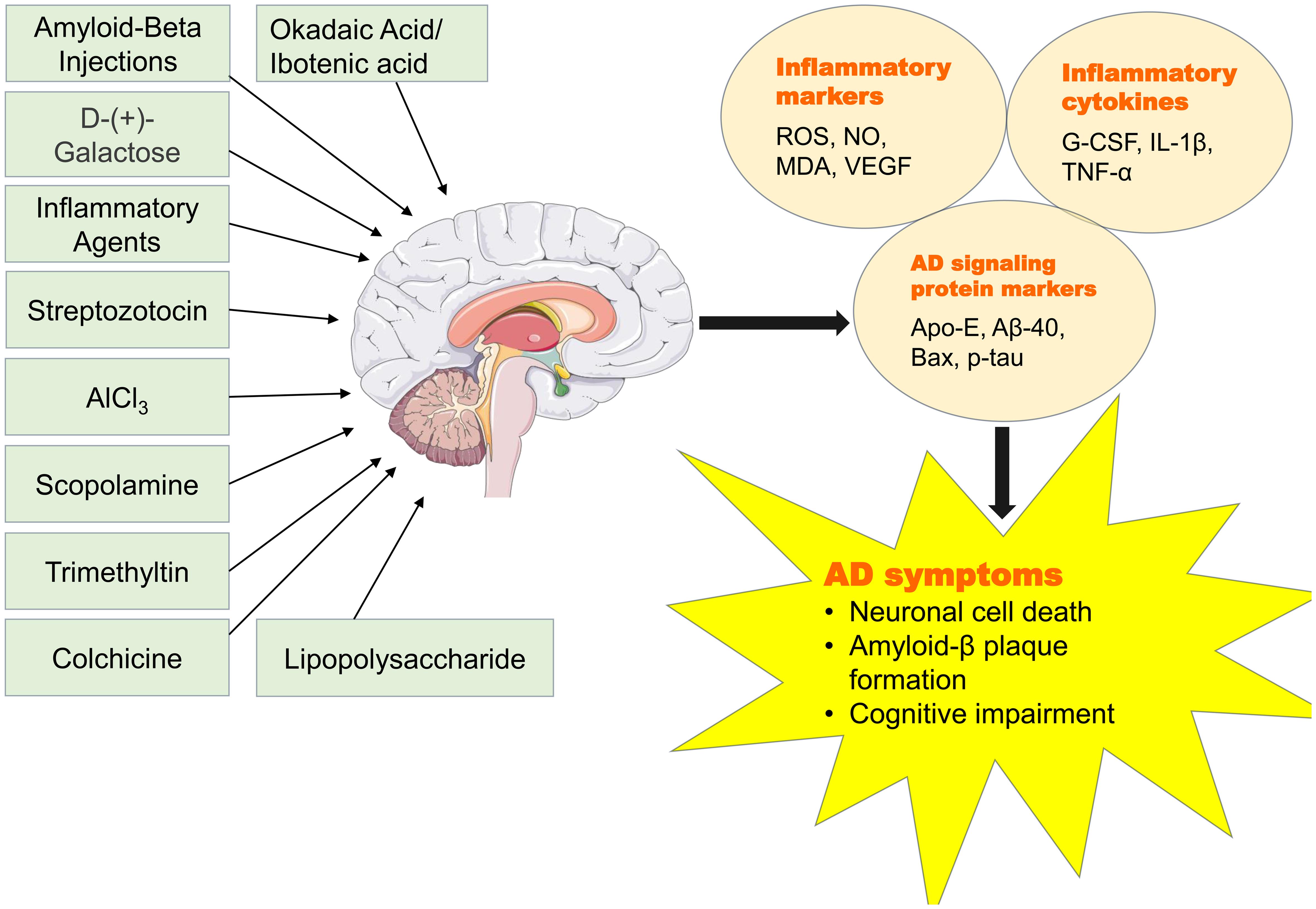 Various approaches and agents used in animal studies to induce AD.