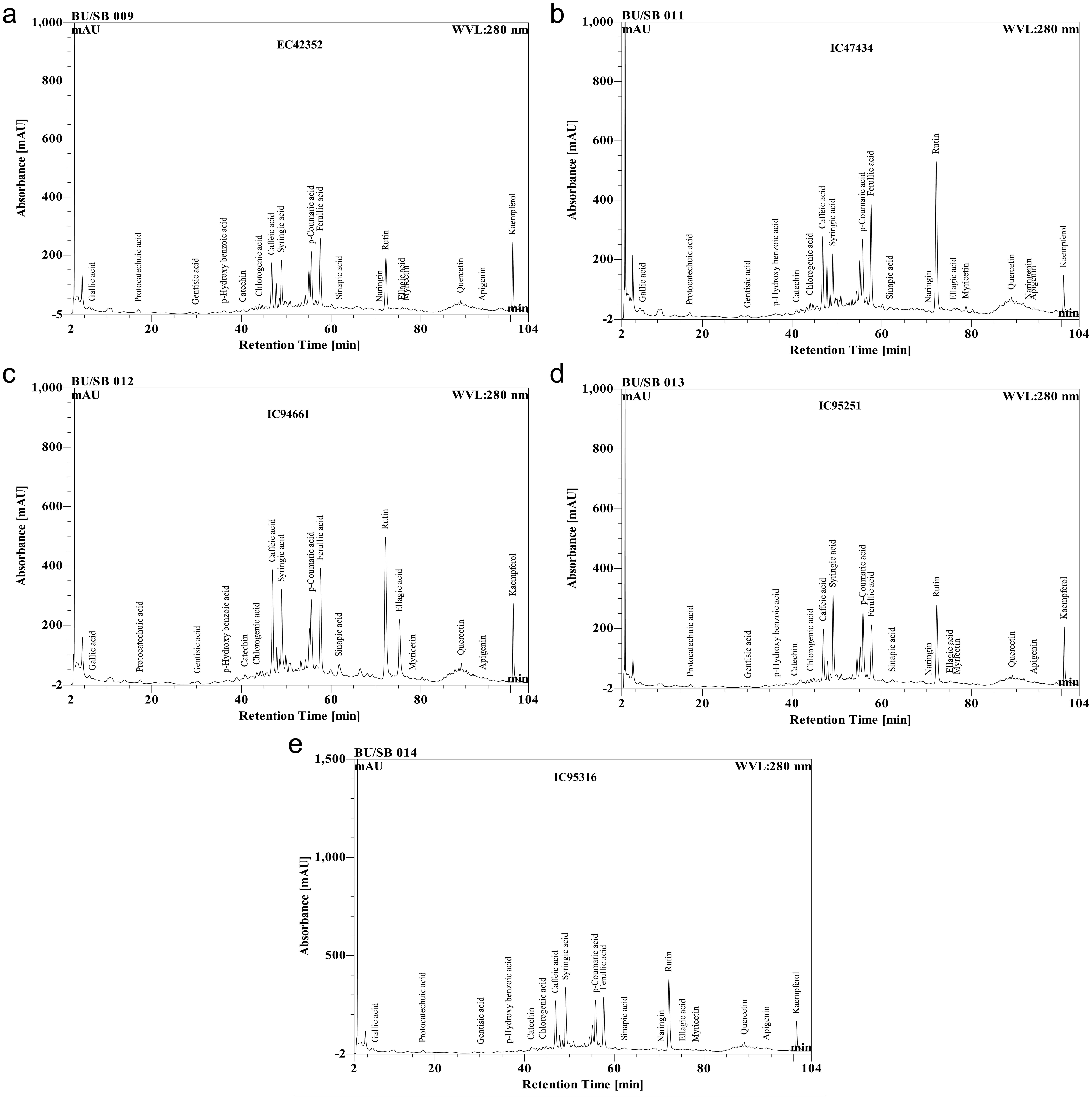 RP-HPLC derived chromatogram of pharmacologically important phenolic acids and flavonoids of hydroethanolic leaf extracts of accessions EC42352, IC47434, IC94661, IC95251, and IC95316 of <italic>Amaranthus hypochondriacus</italic> L. HPLC analyses were performed using Dionex Ultimate 3000 liquid chromatography, including a diode array detector (DAD) with Chromeleon system manager as the data processor.