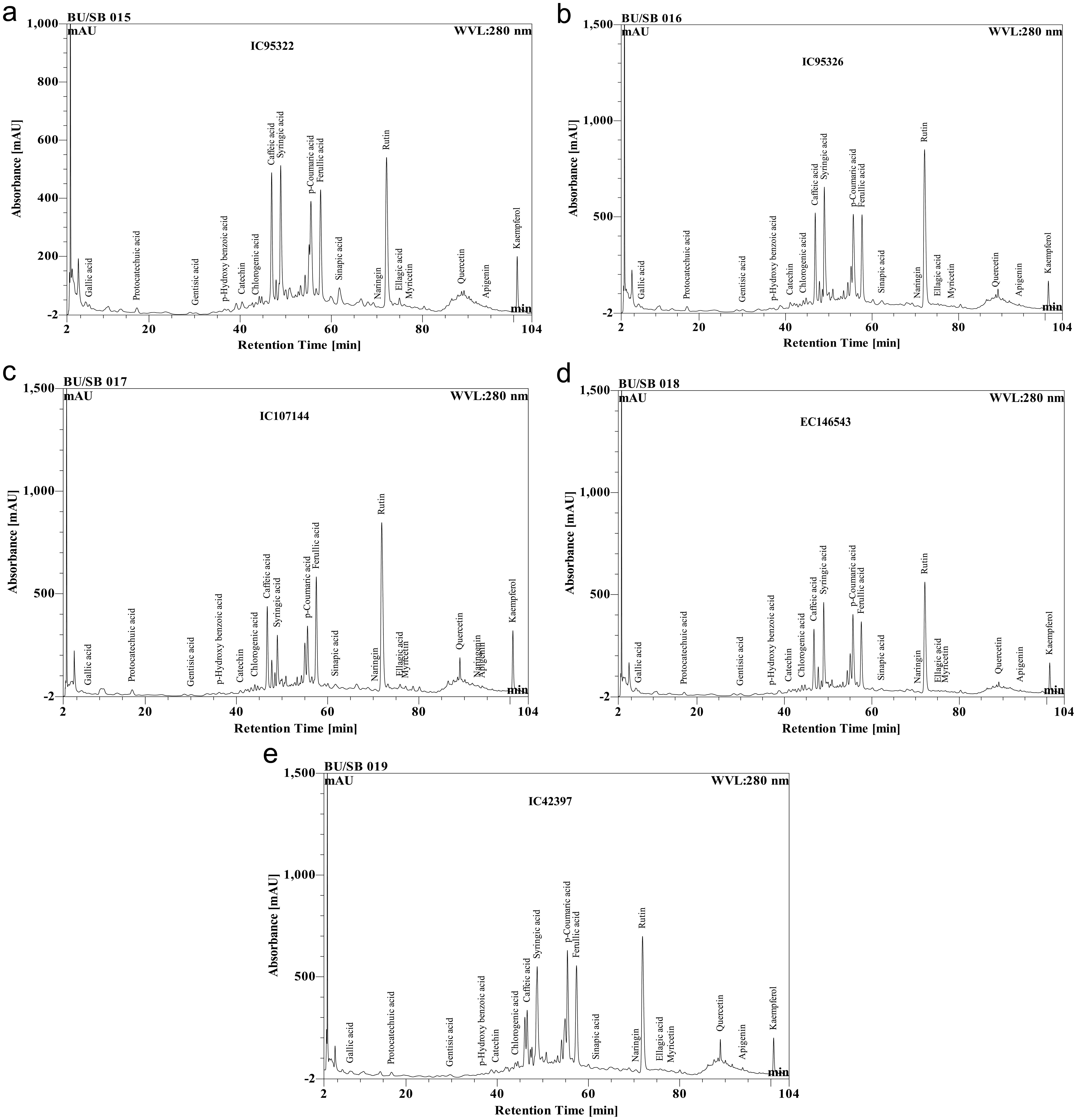 RP-HPLC derived chromatogram of pharmacologically important phenolic acids and flavonoids of hydroethanolic leaf extracts of accessions IC95322, IC95326, IC107144, EC146543, and IC42397 of <italic>Amaranthus hypochondriacus</italic> L. HPLC analyses were performed using Dionex Ultimate 3000 liquid chromatography, including a diode array detector (DAD) with Chromeleon system manager as the data processor.