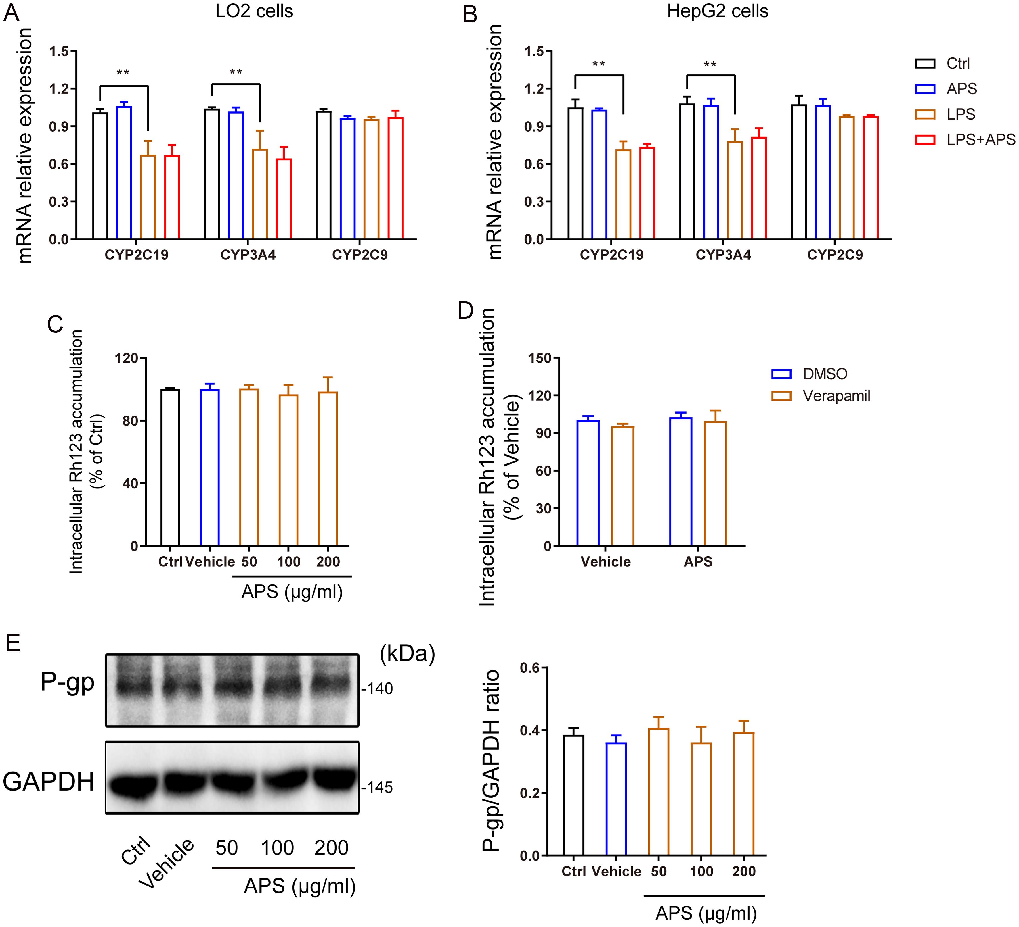 Effect of LPS and APS on mRNA expression of humanized hepatic cytochrome P450s.