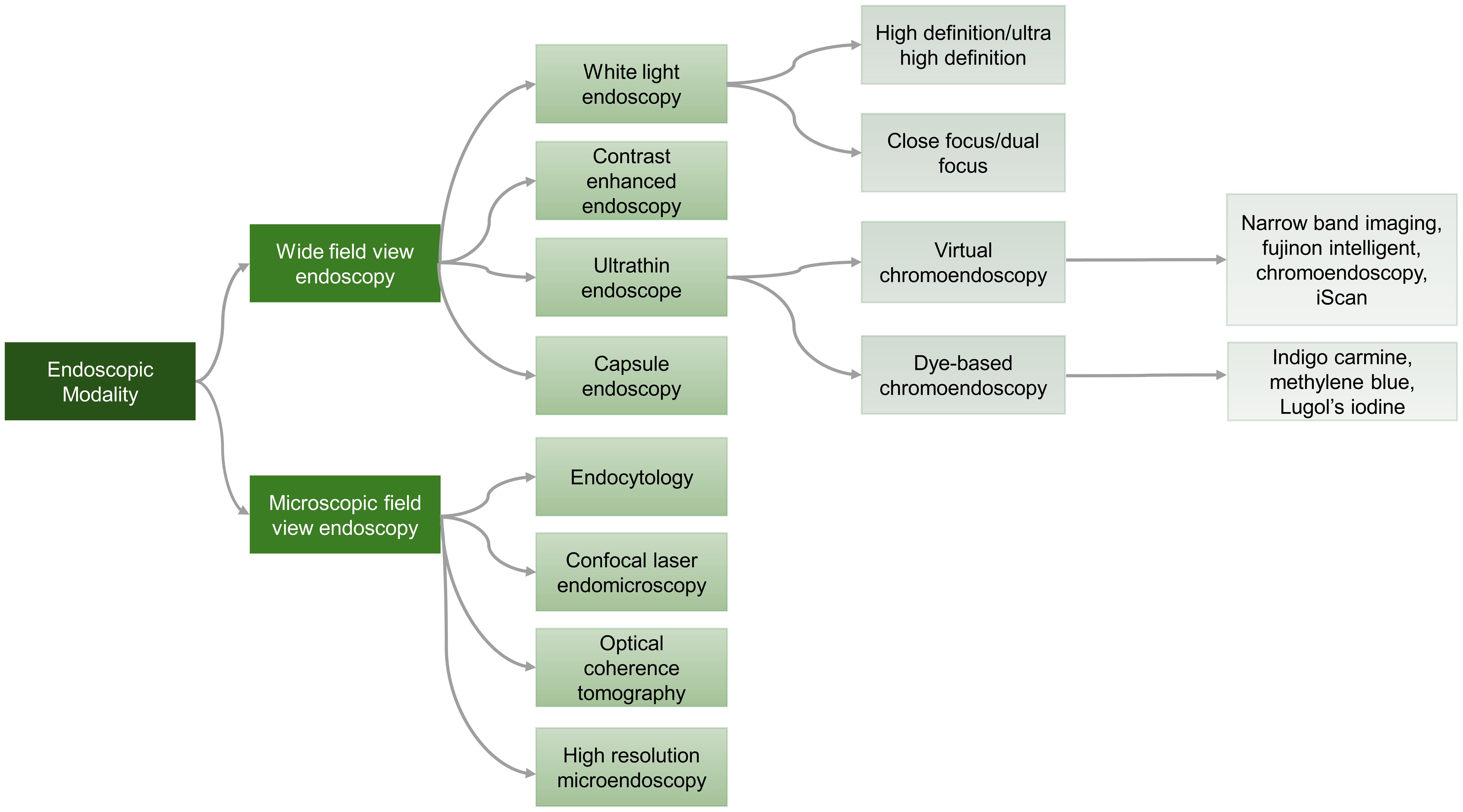 Categorization of endoscopic modalities utilized in the diagnosis of colorectal cancer (CRC).