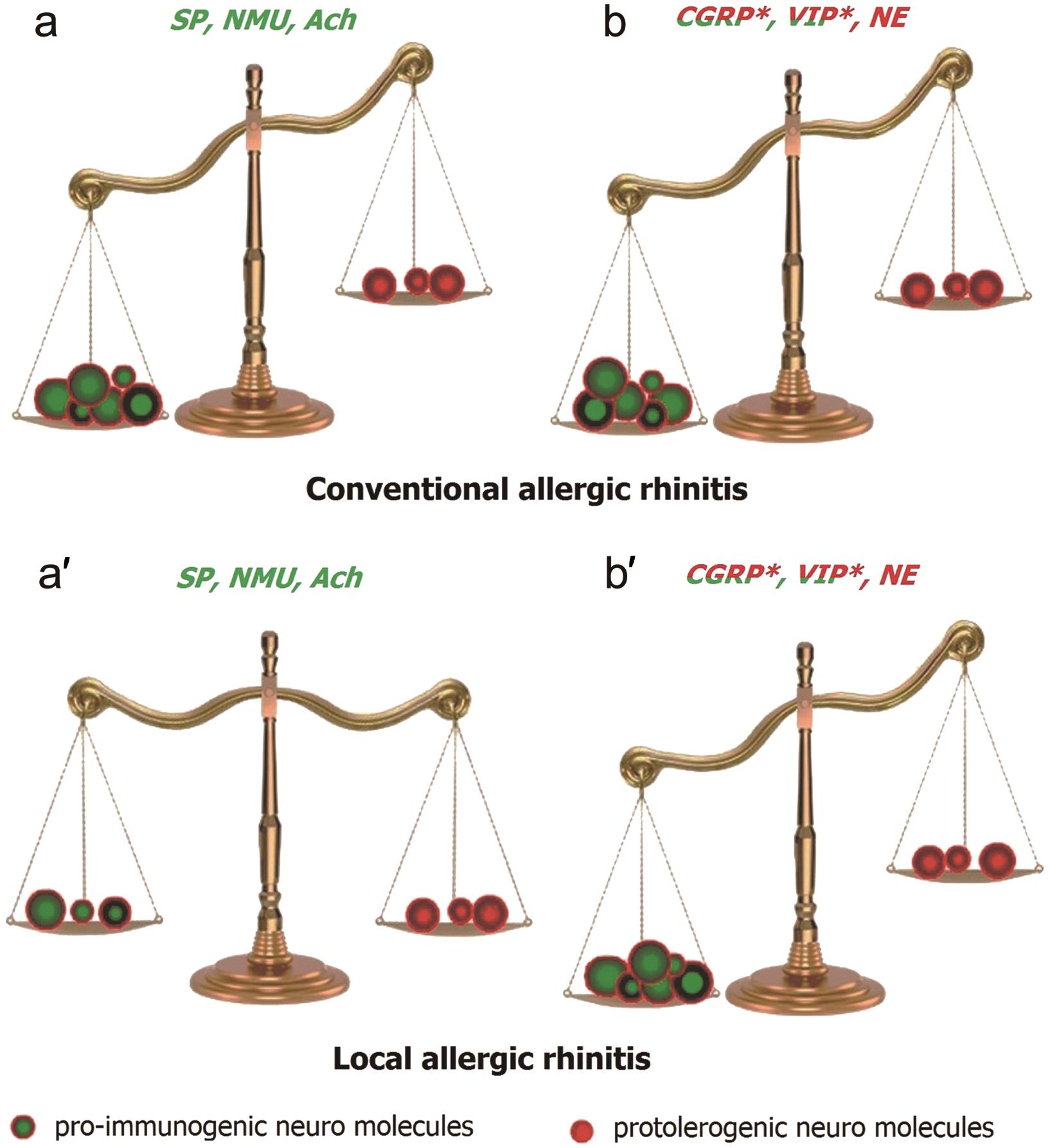 Hypothesis of the autonomous breakdown of allergen tolerance in local allergic rhinitis.