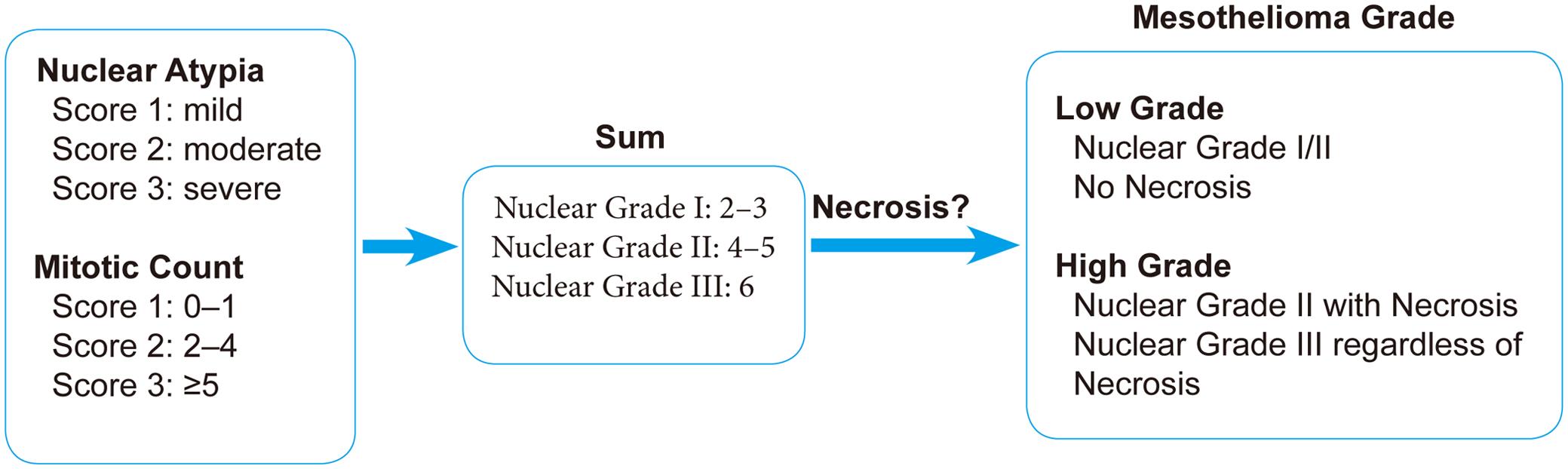 Histologic grading algorithm of mesothelioma.