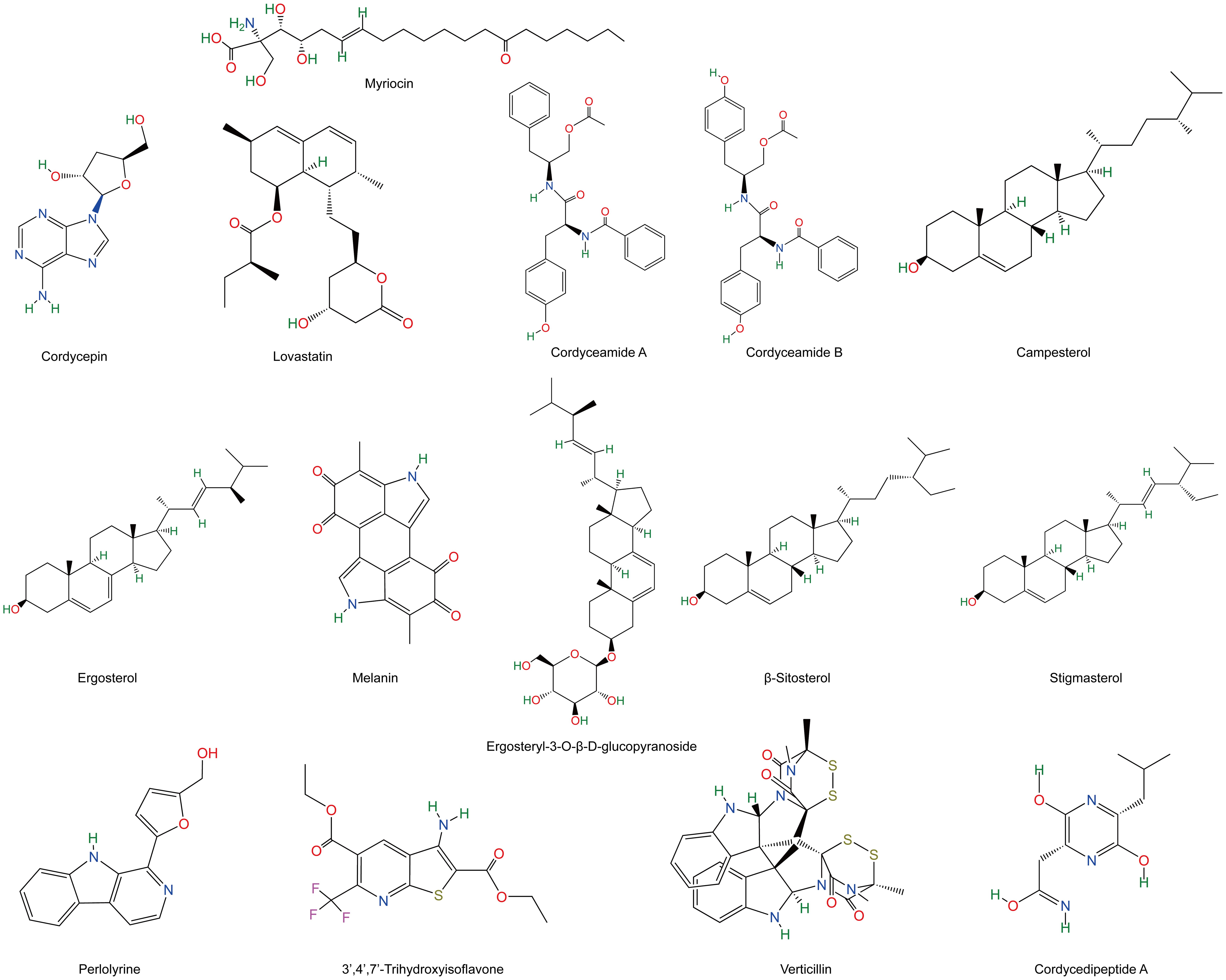 Chemical structures of some potential bioactive compounds identified from <italic>O. sinensis</italic> mycelia and cultures.