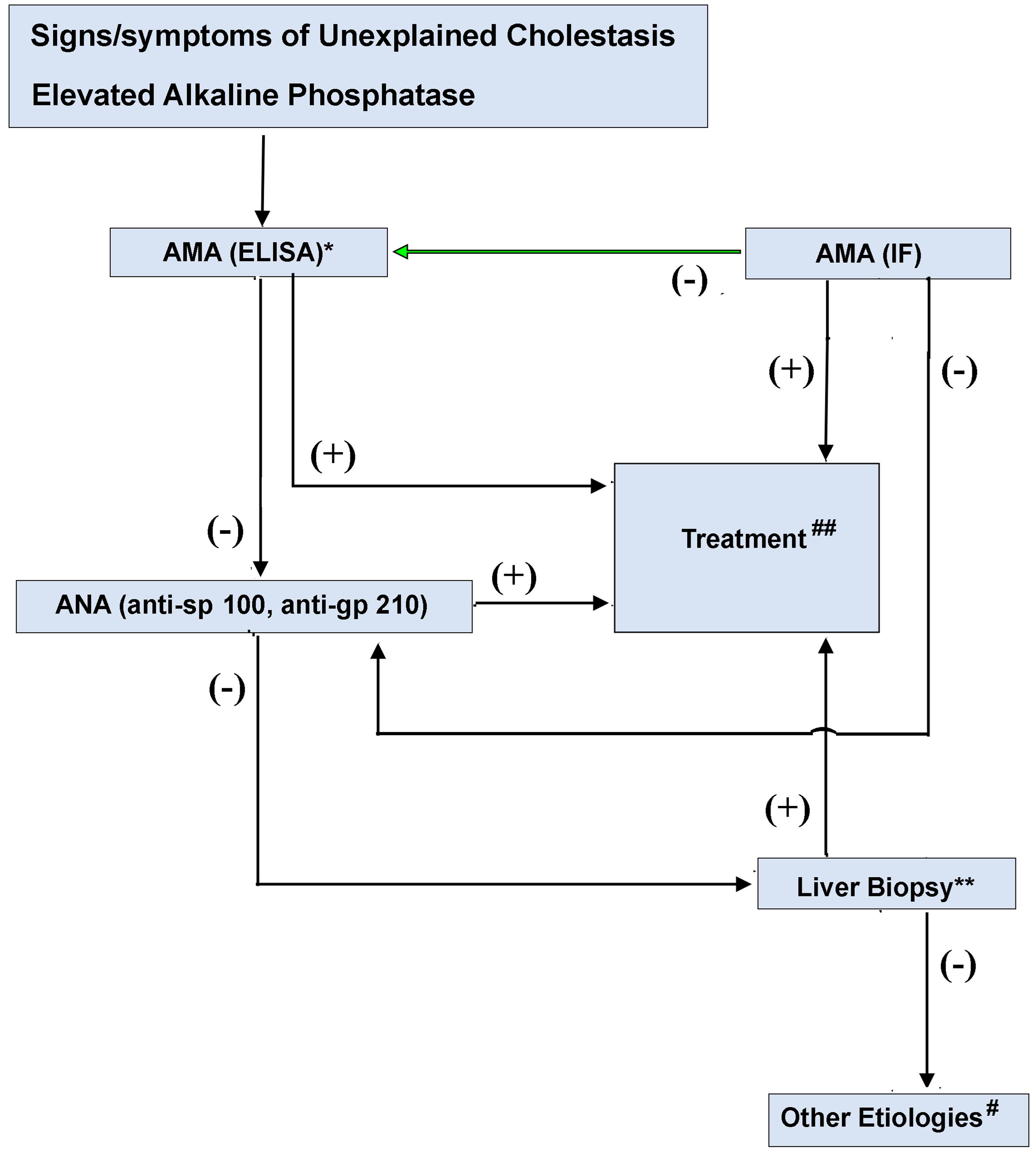 Proposed diagnostic algorithm for AMA-negative patients with cholestatic symptoms or elevated alkaline phosphatase.