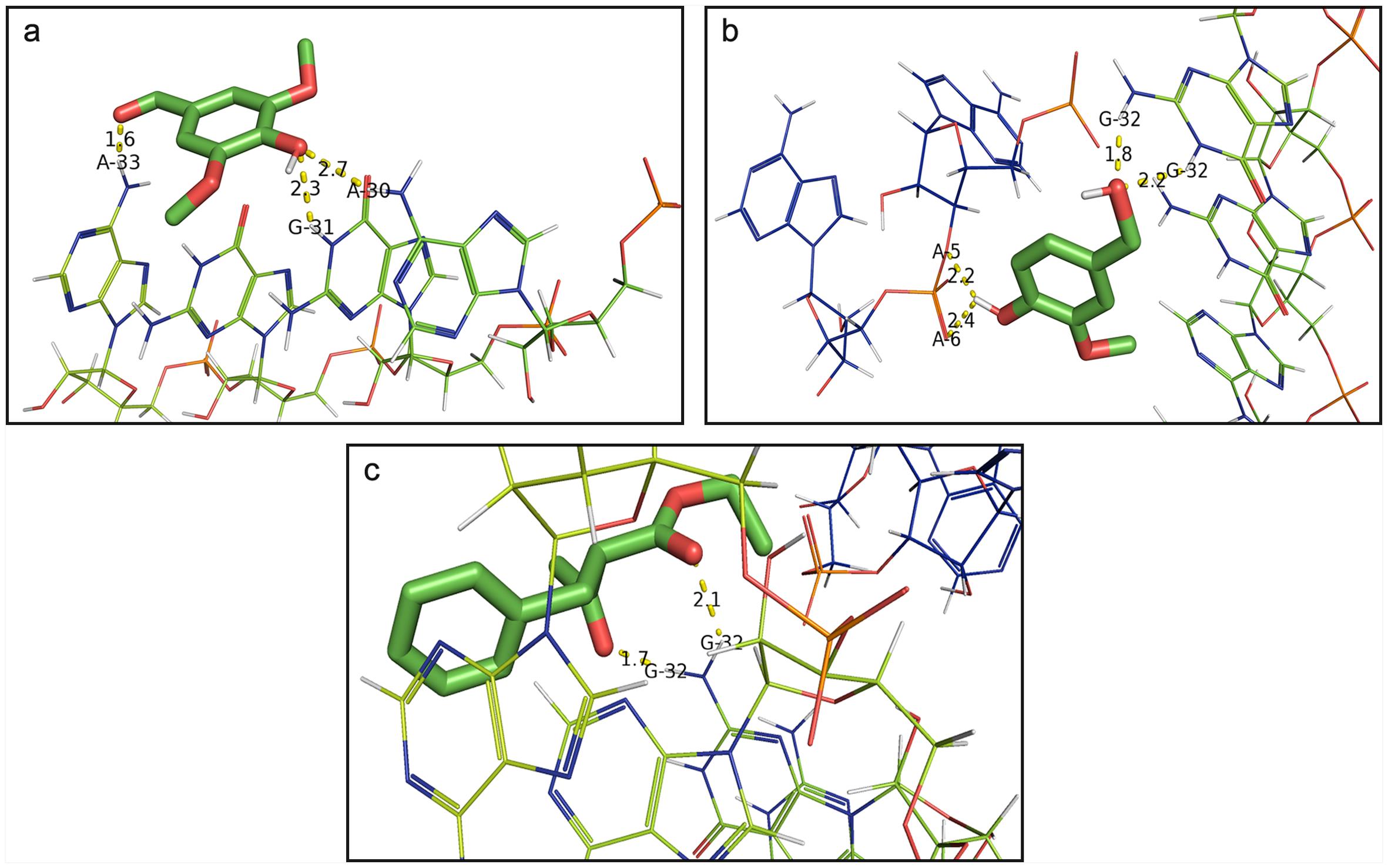 Molecular interactions of the best-docked poses of lncRNA and the selected volatile ligands (a) 8655 (b) 62348 (c) 246929.