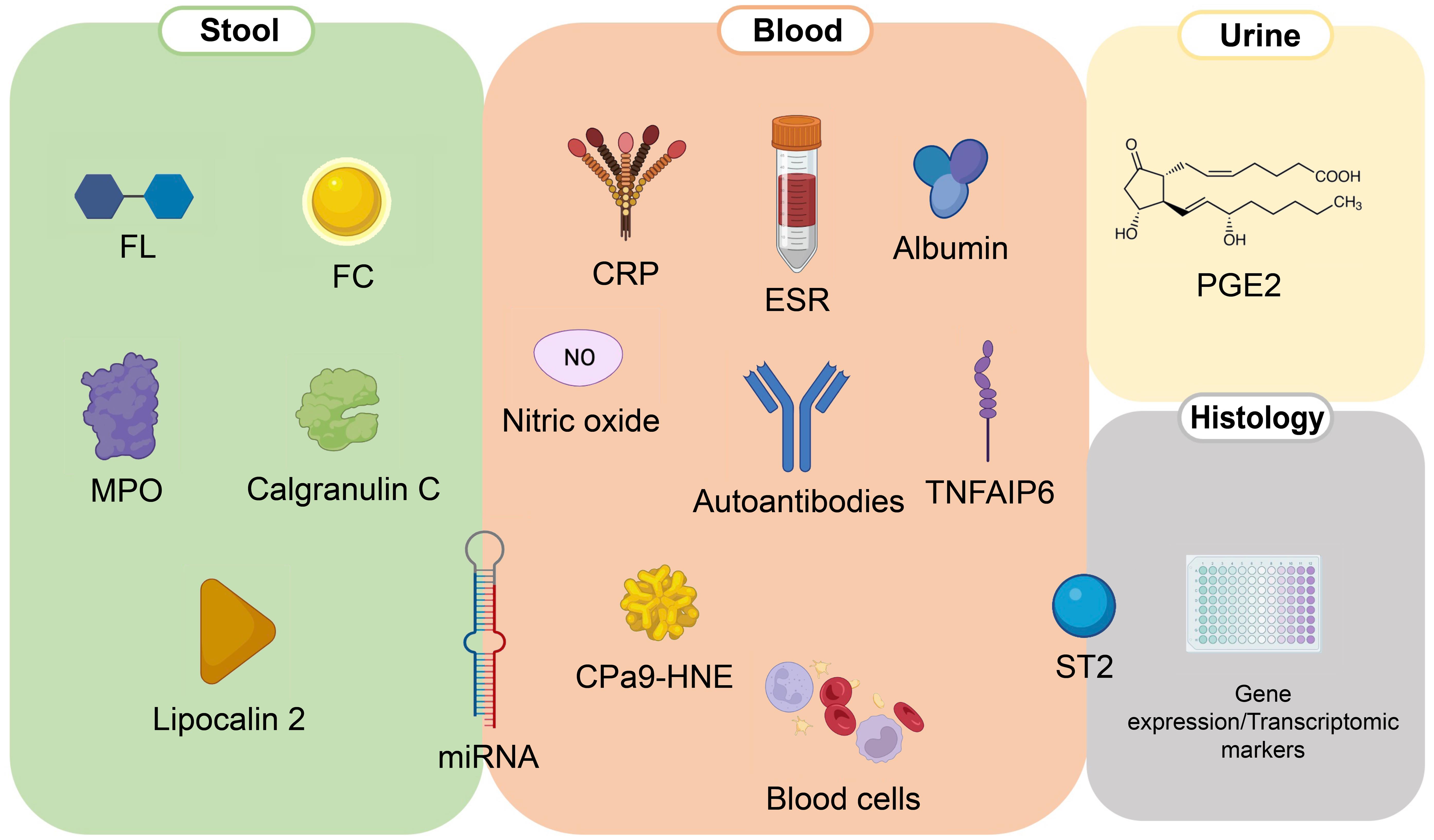 Summary of fecal, urinary, blood, and histologic biomarkers.