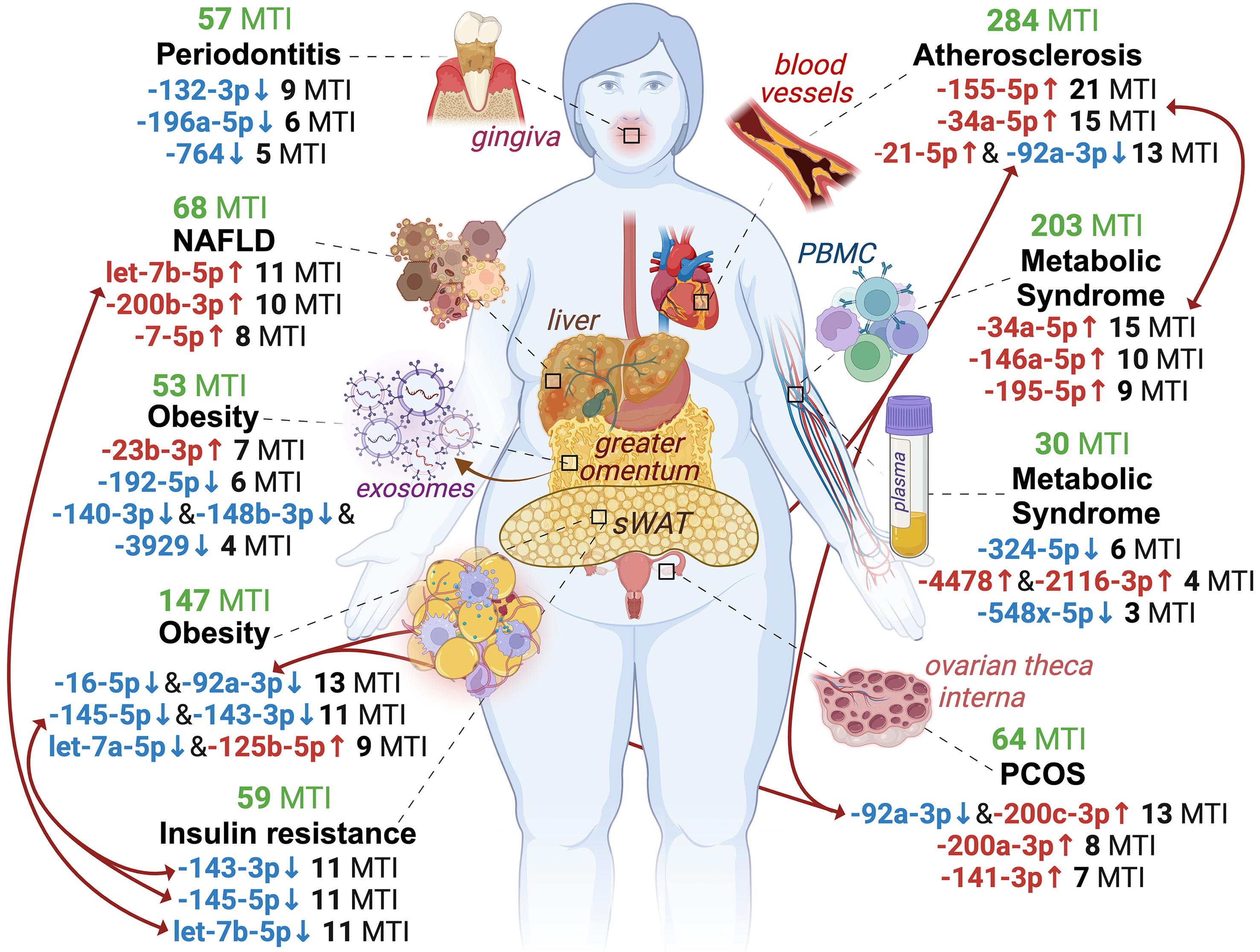 miRNA dysregulation of AGE/RAGE signaling by differentially expressed miRNAs (DEMs) in pathology–localizations.