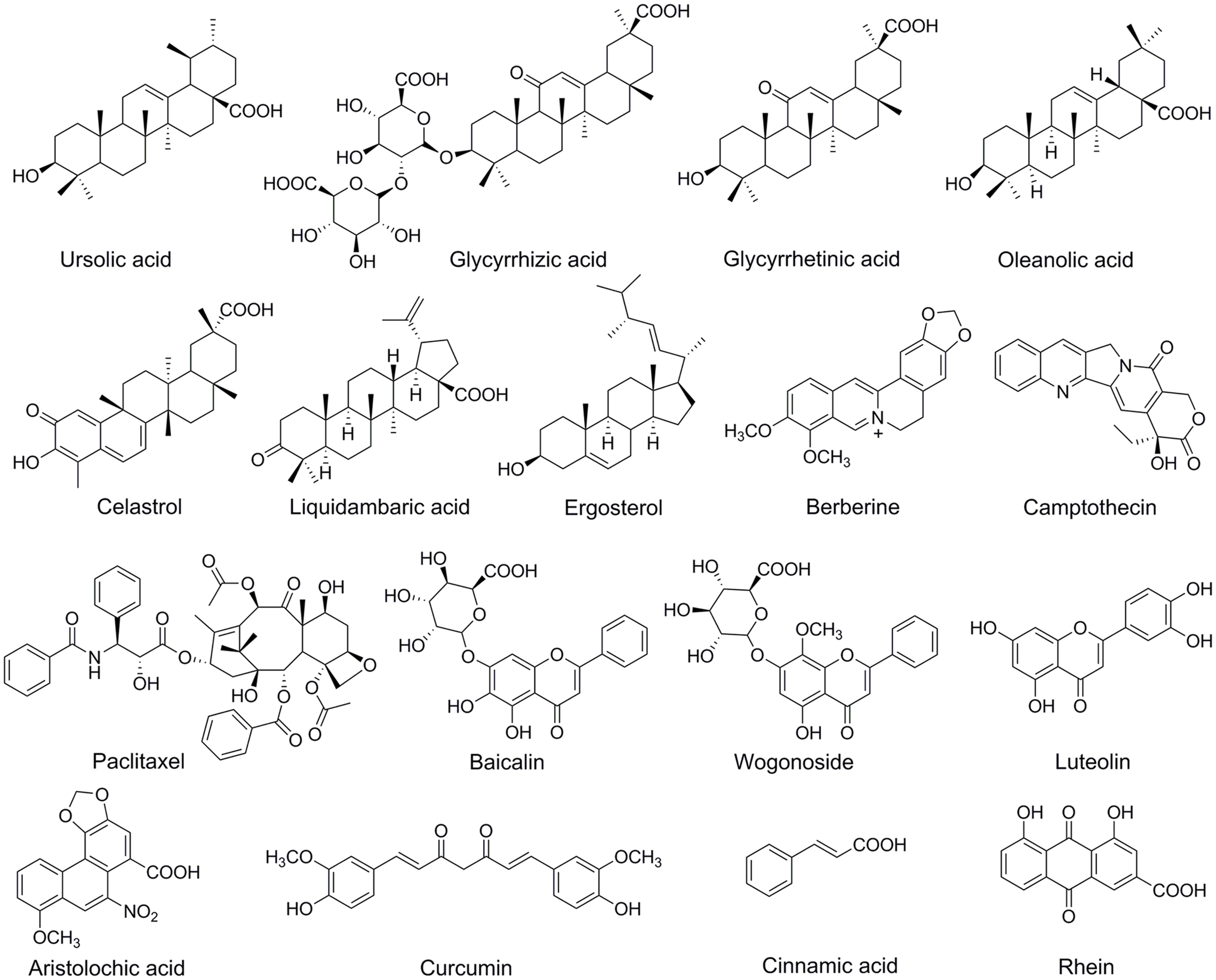 Representative chemical structures of the natural products.
