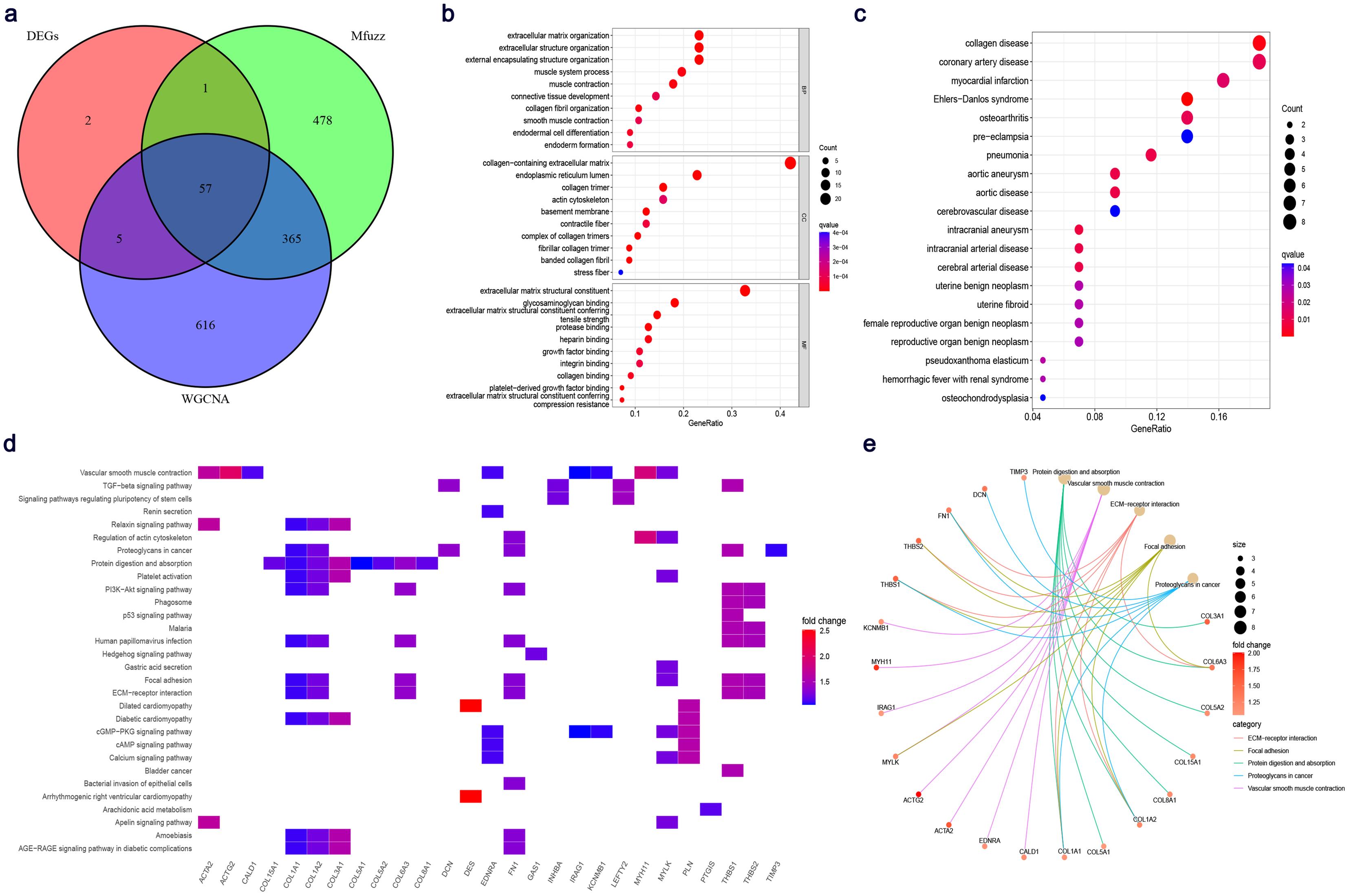 Potential biological functions, associated diseases, and signaling pathways of 57 hub genes.