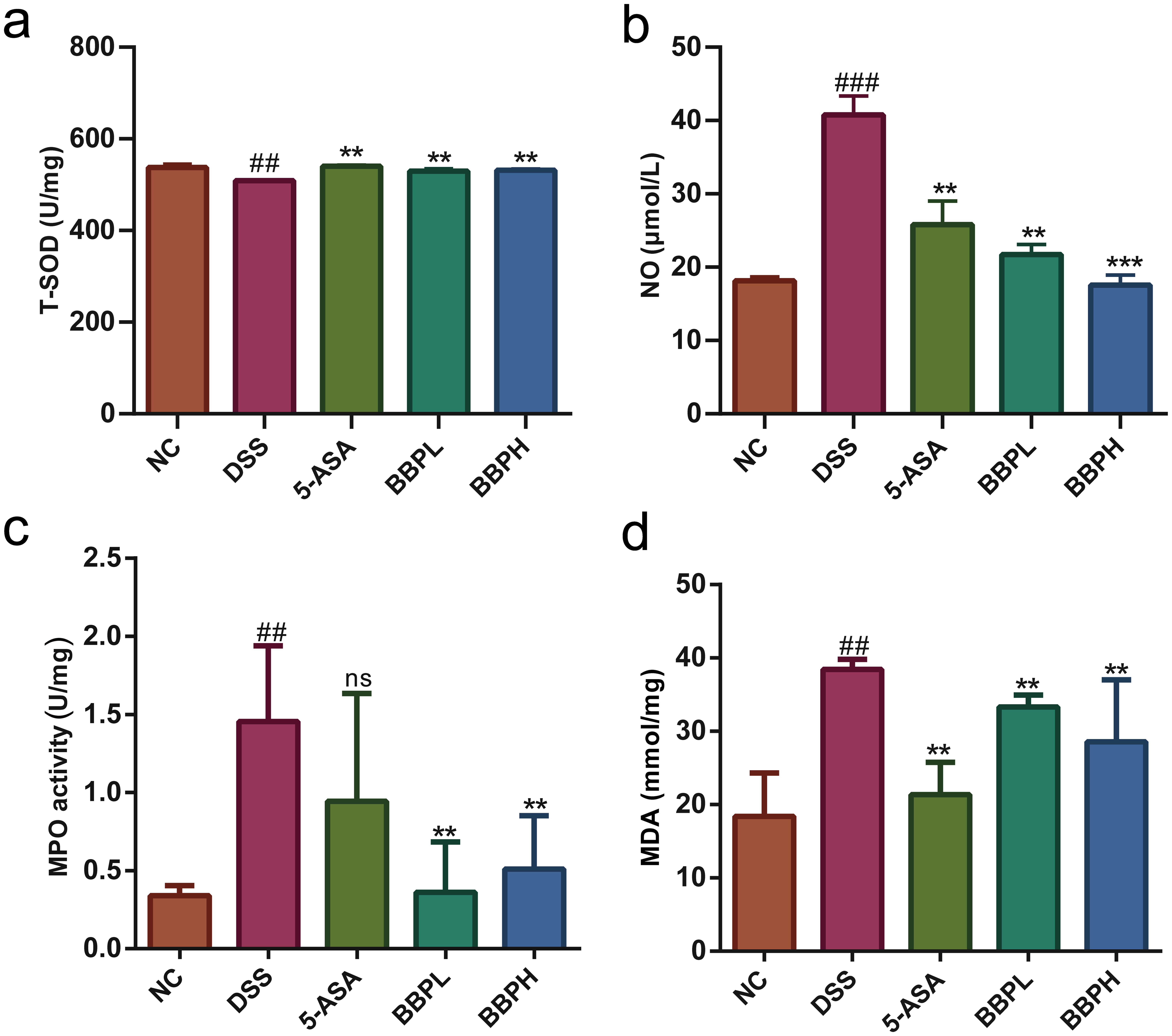 The effect of BBP on oxidative stress in DSS-induced colitis mice.