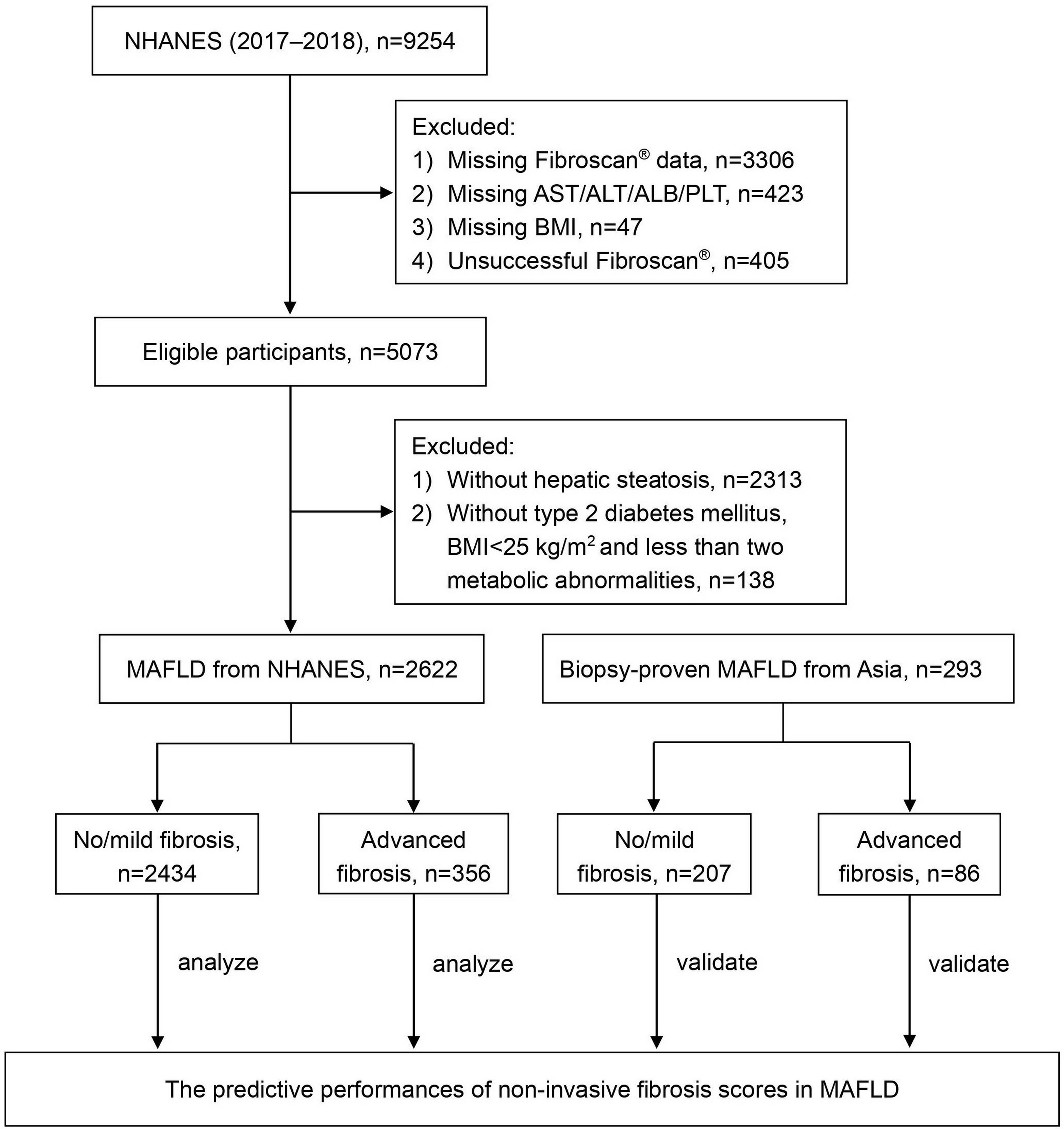 Flowchart for the analysis and validation of noninvasive fibrosis scores for predicting advanced fibrosis in MAFLD.