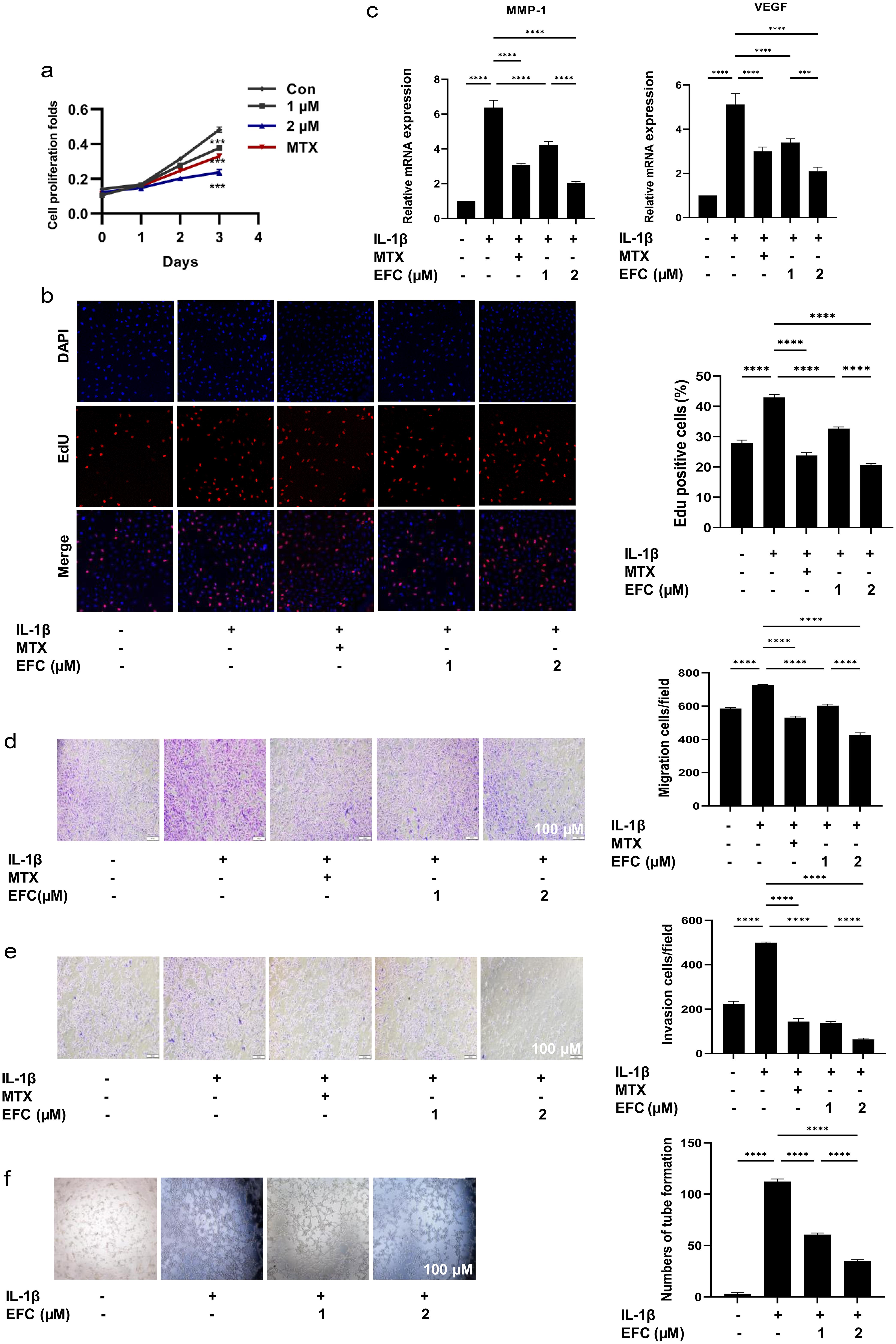 Effect of EFC on the bioactivity of RA FLSs.