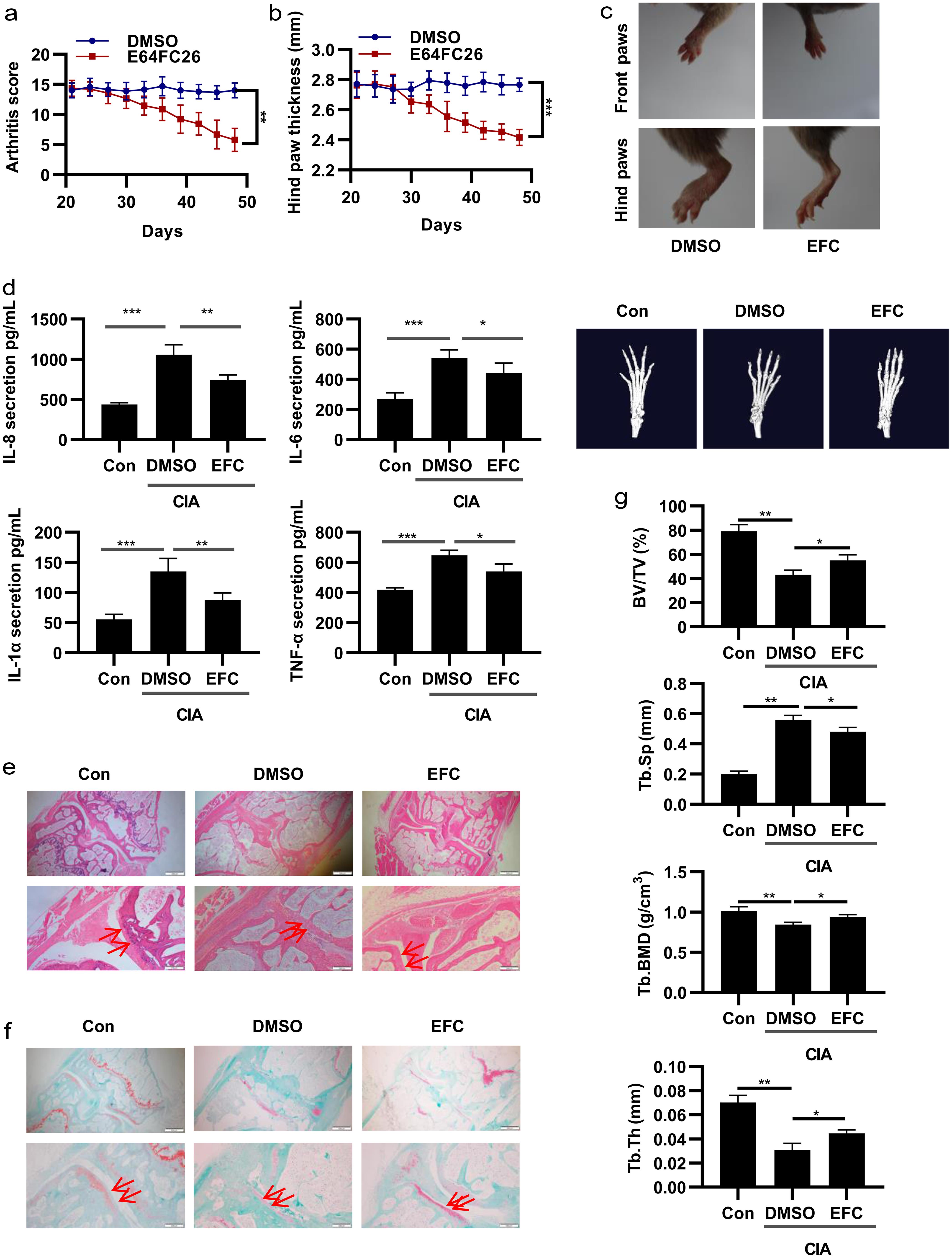 EFC mitigates disease progression in CIA models.