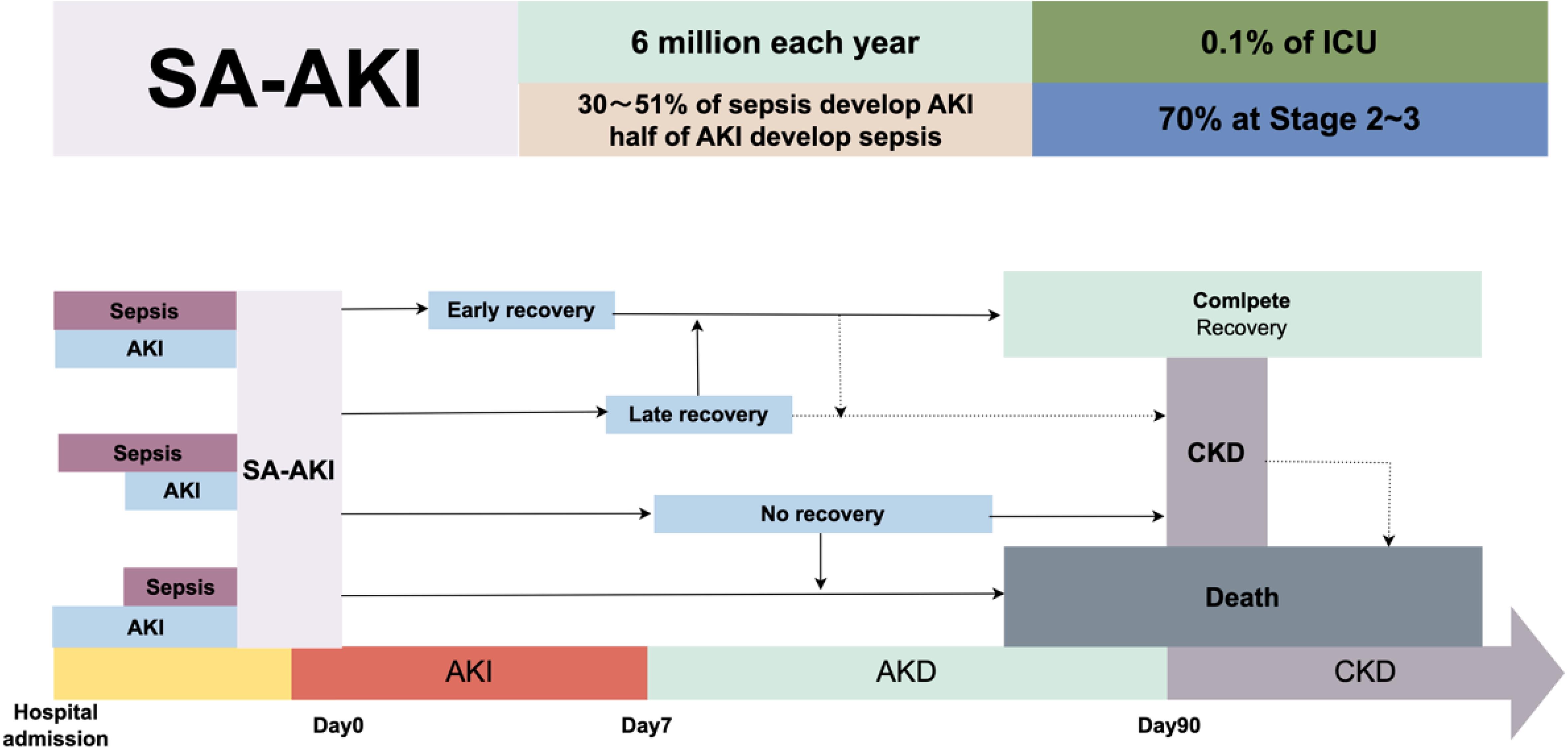 Epidemiology and Prognosis of SA-AKI.