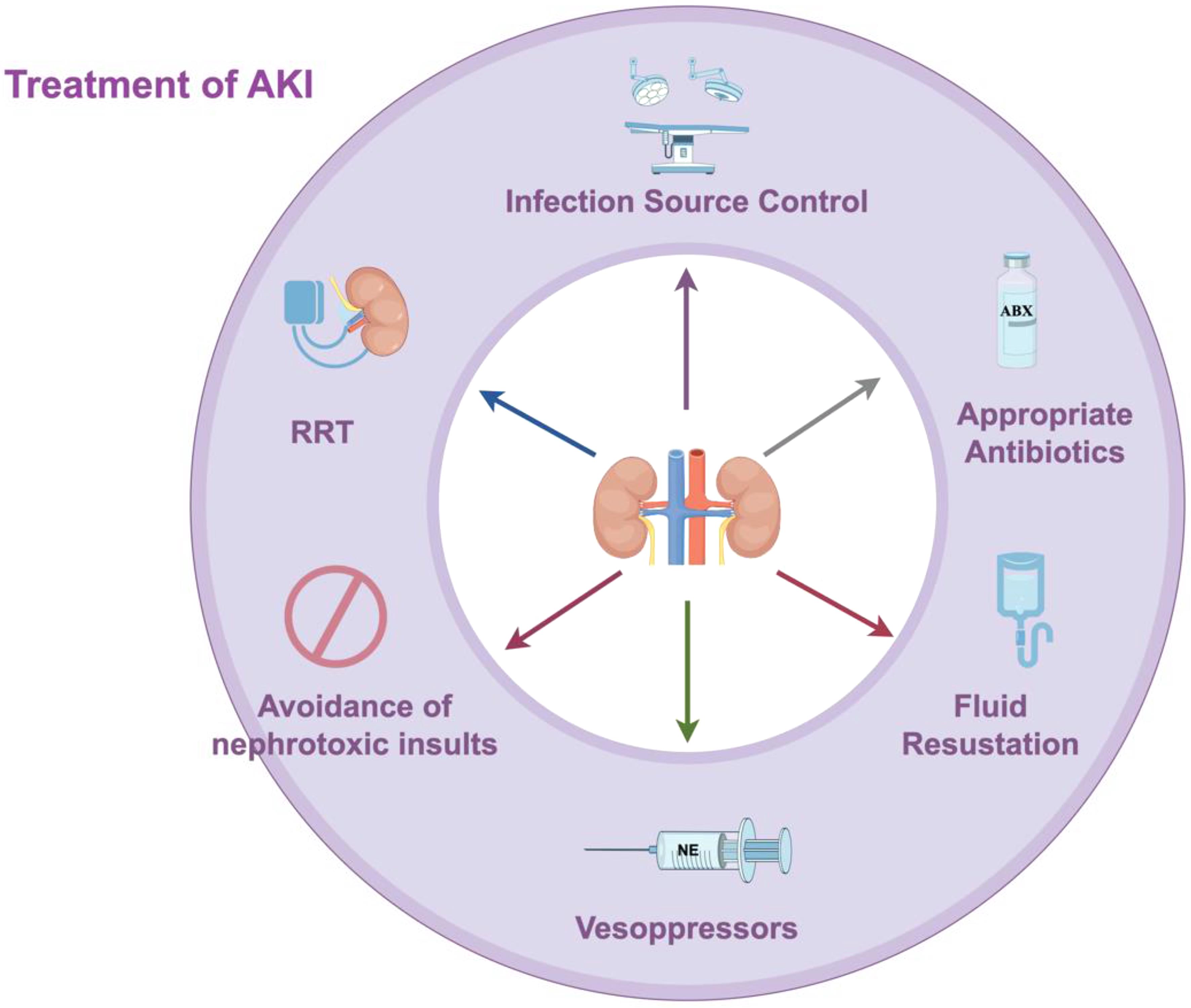 Treatment of SA-AKI.