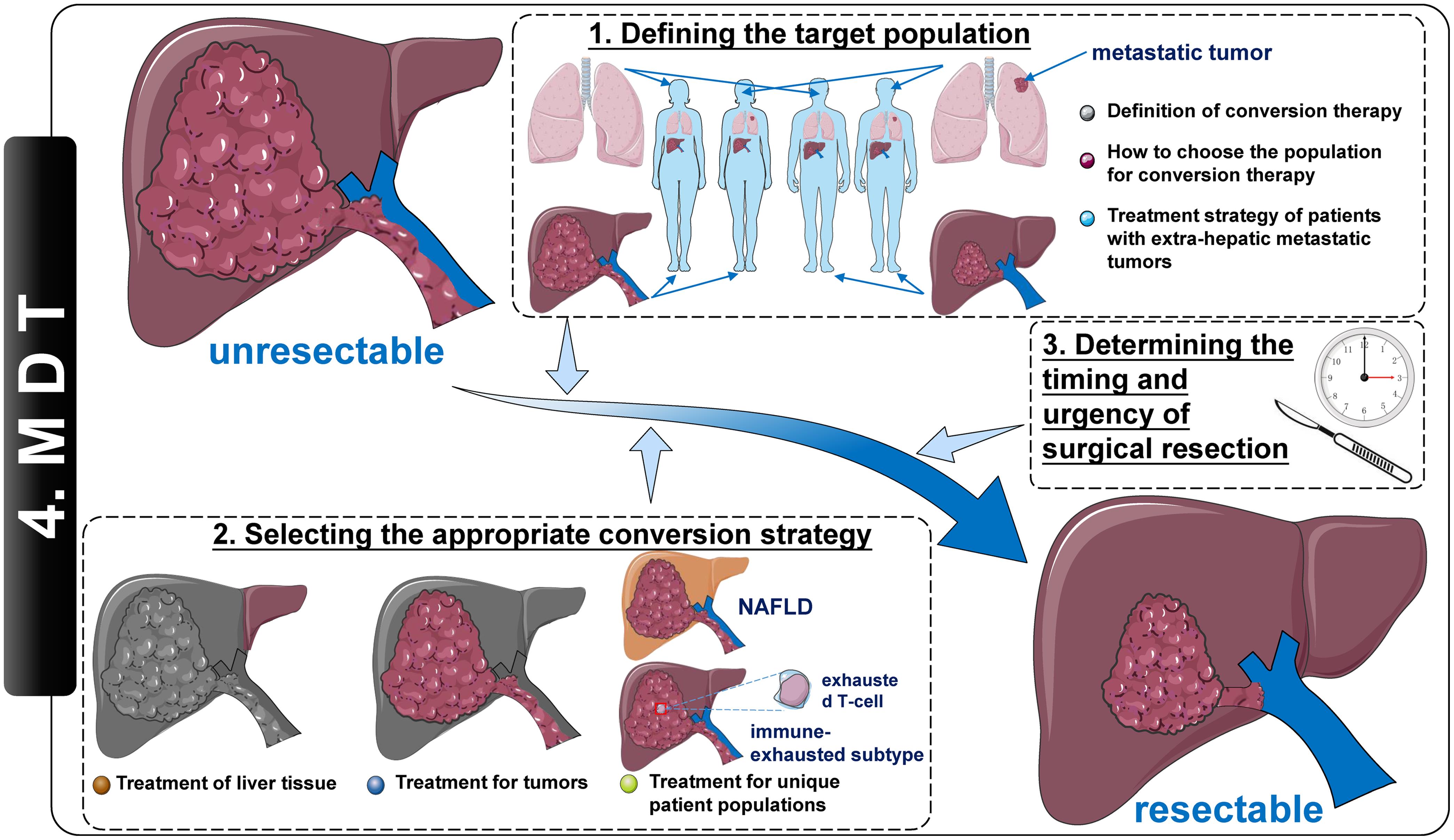 Illustration for conversion therapy in patients with “potentially resectable” hepatocellular carcinoma from four perspectives.