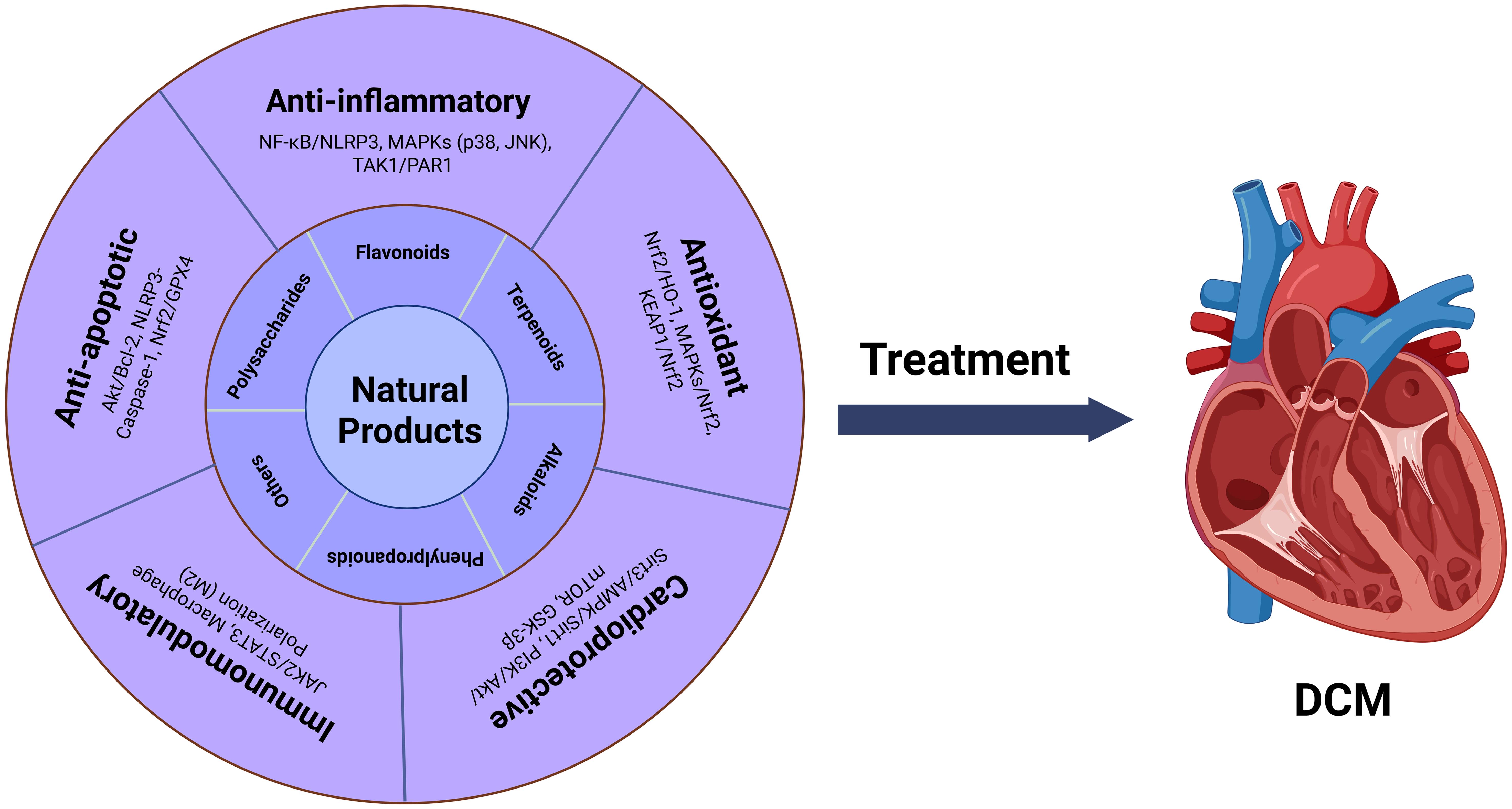 Natural products and their biological activities against DCM.