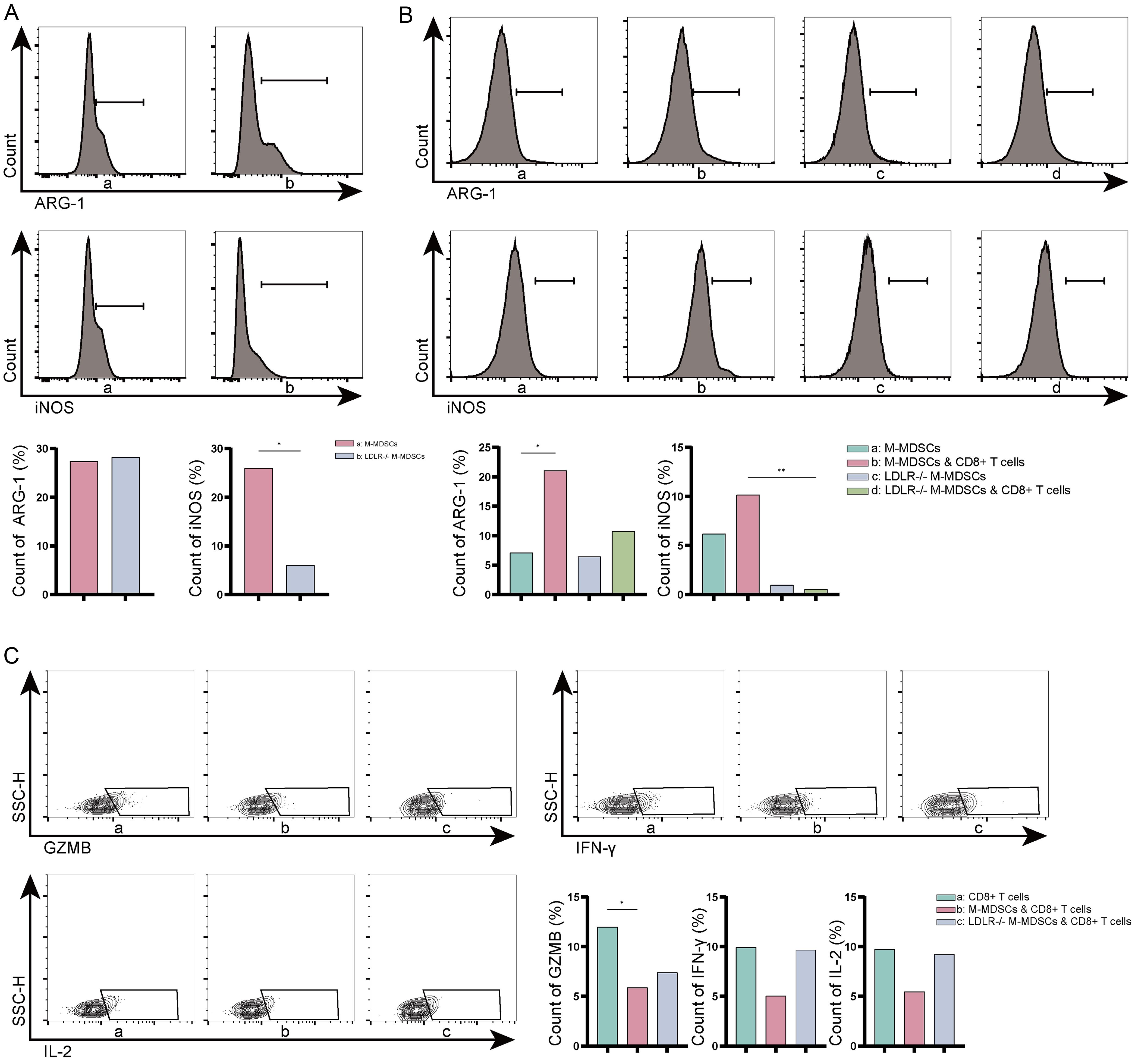 Co-culture experiments of M-MDSCs and CD8<sup>+</sup> T cells.