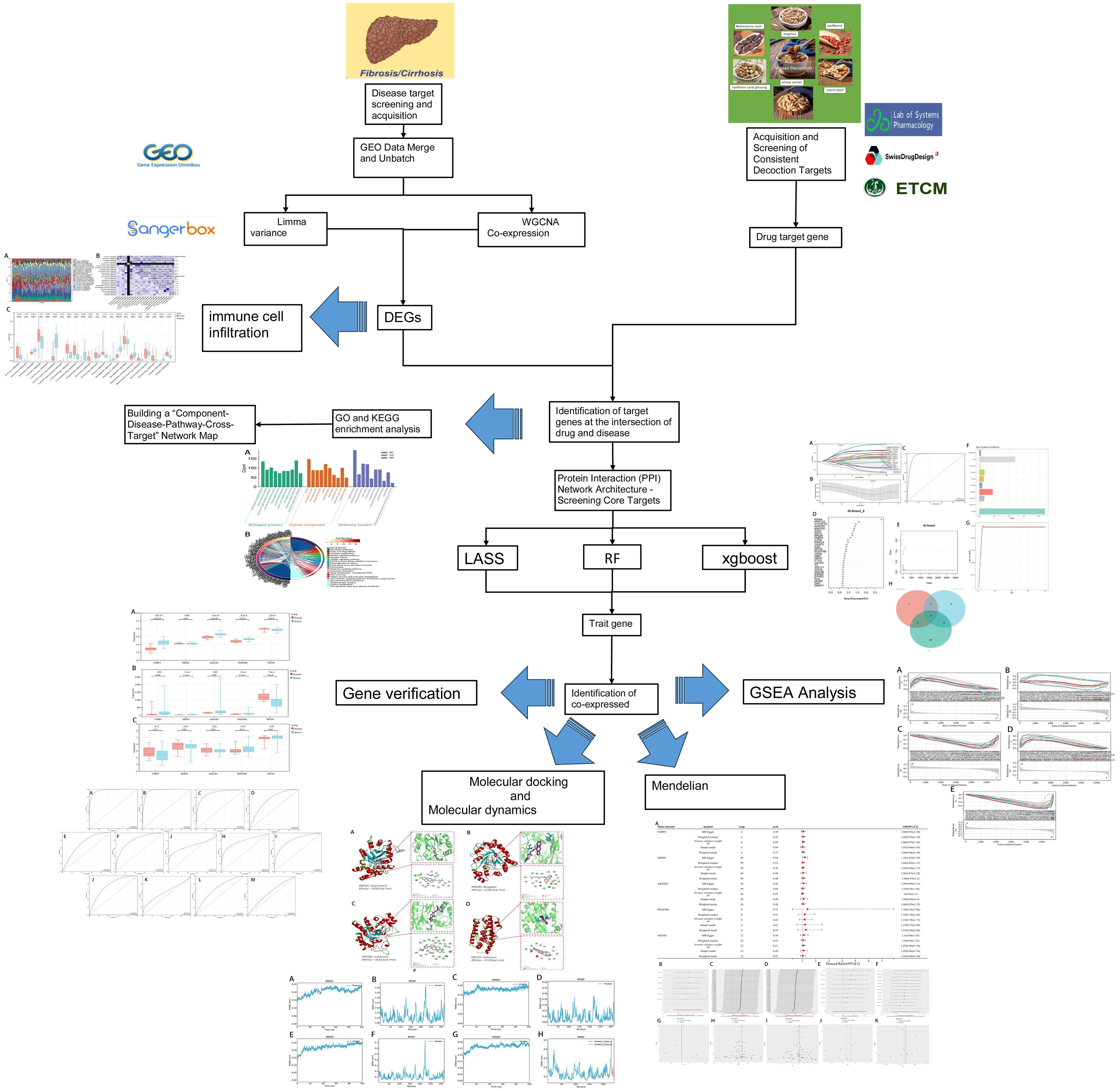 Overview flowchart of the entire process.