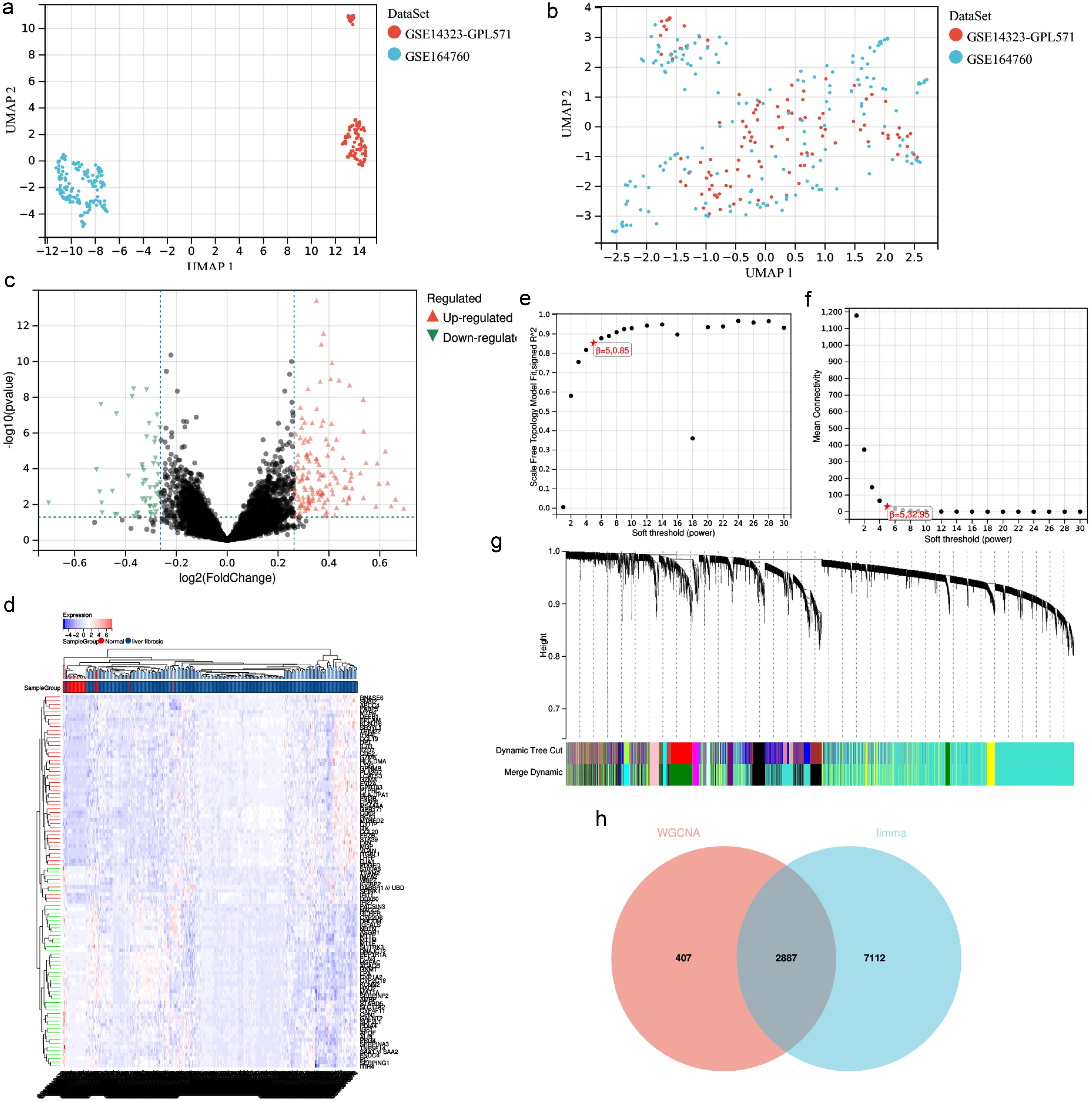 Screening of liver fibrosis–related targets.
