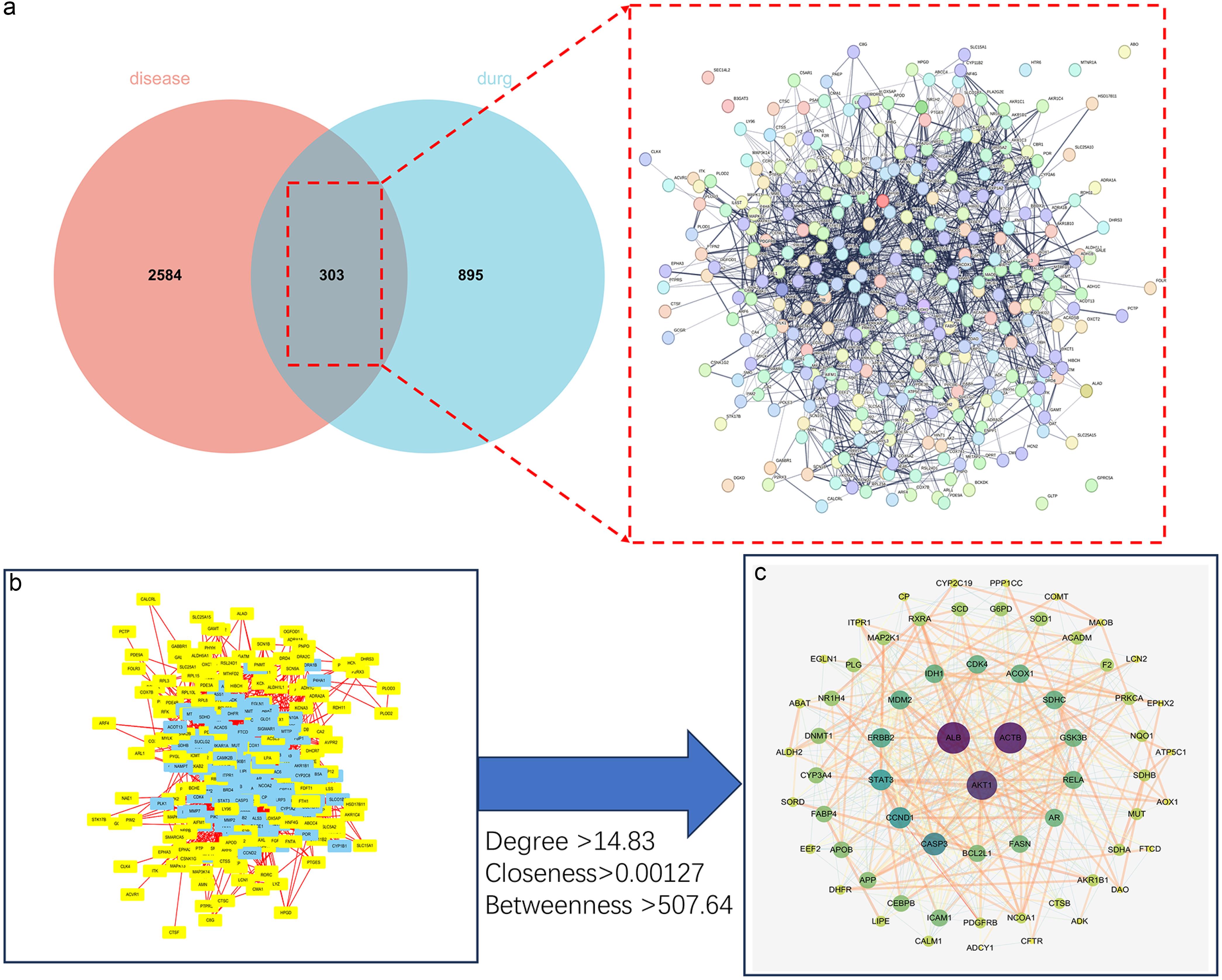 Protein–protein interaction (PPI) network visualization.