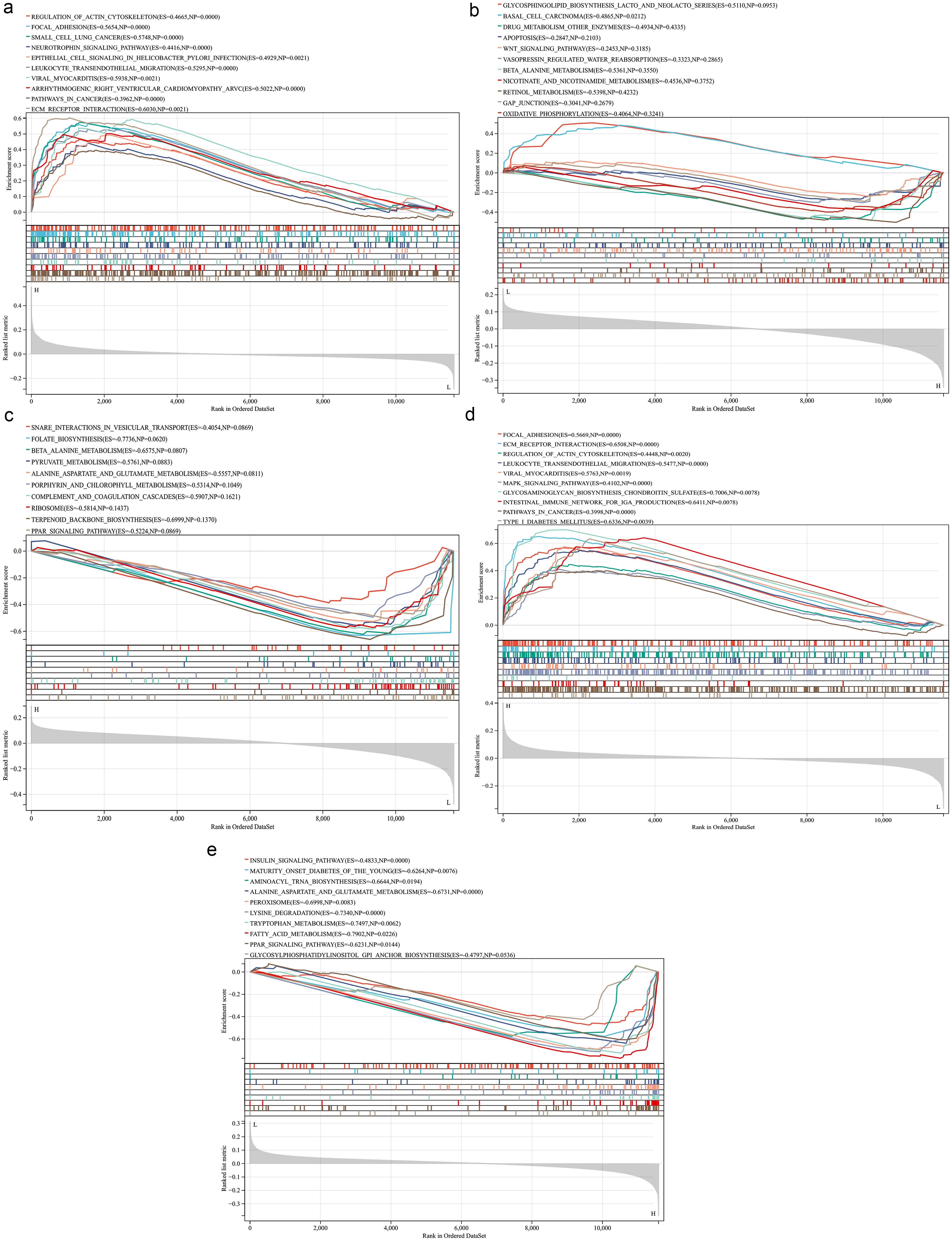 Gene Set Enrichment Analysis (GSEA).
