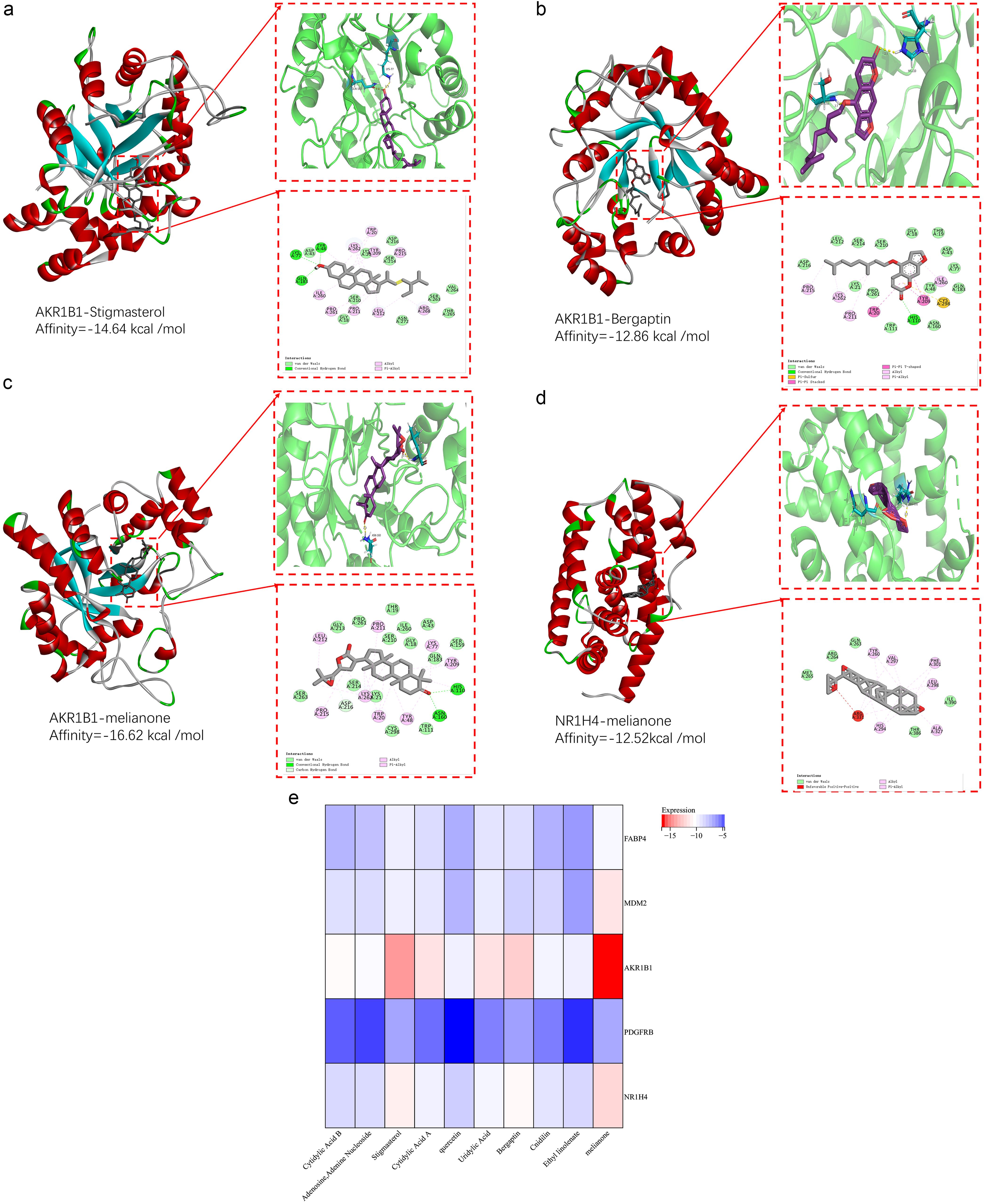 Molecular docking of core active ingredients with target molecules.