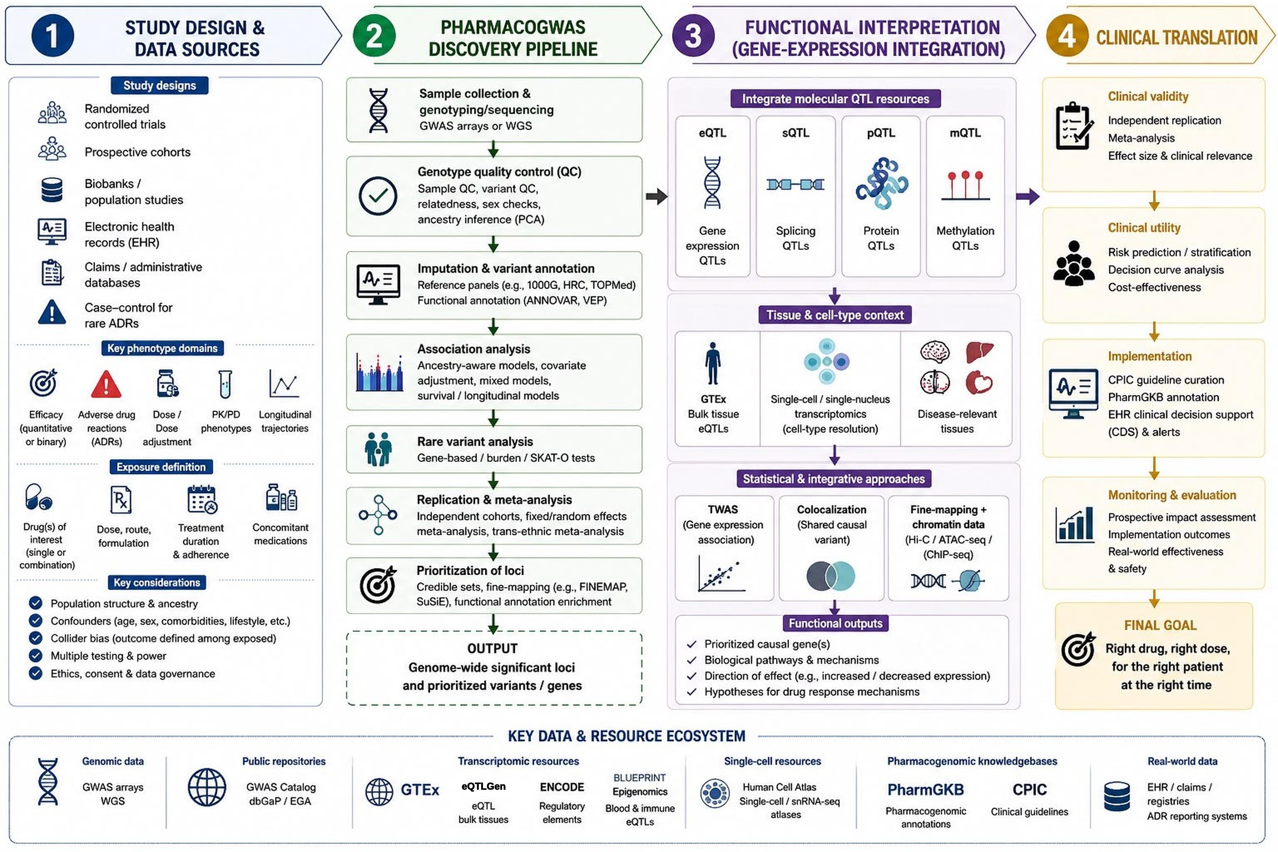 Overview of the pharmacoGWAS workflow from study design to clinical translation.