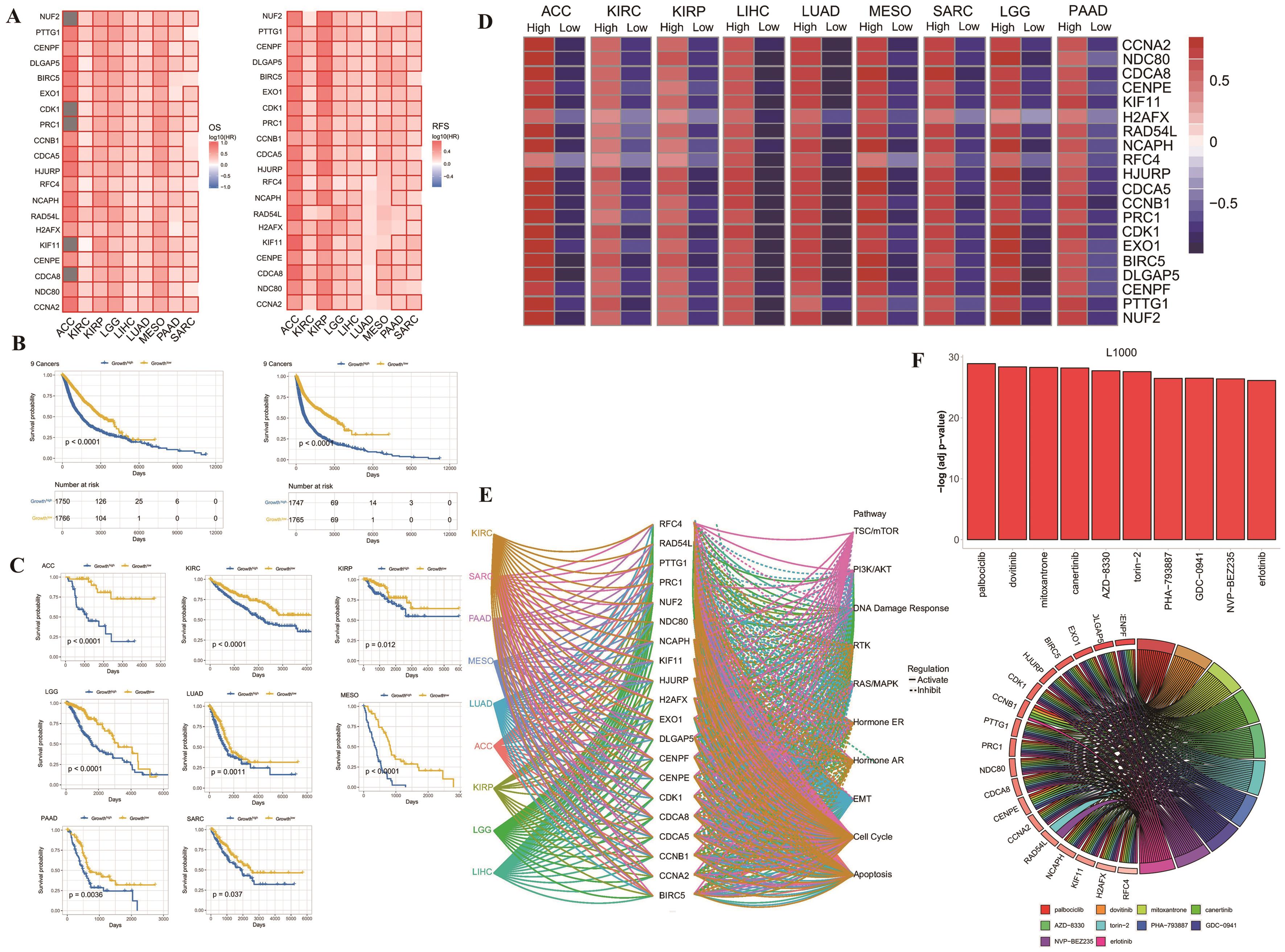 Growth signature in diverse cancers and harbor clinically actionable genes.