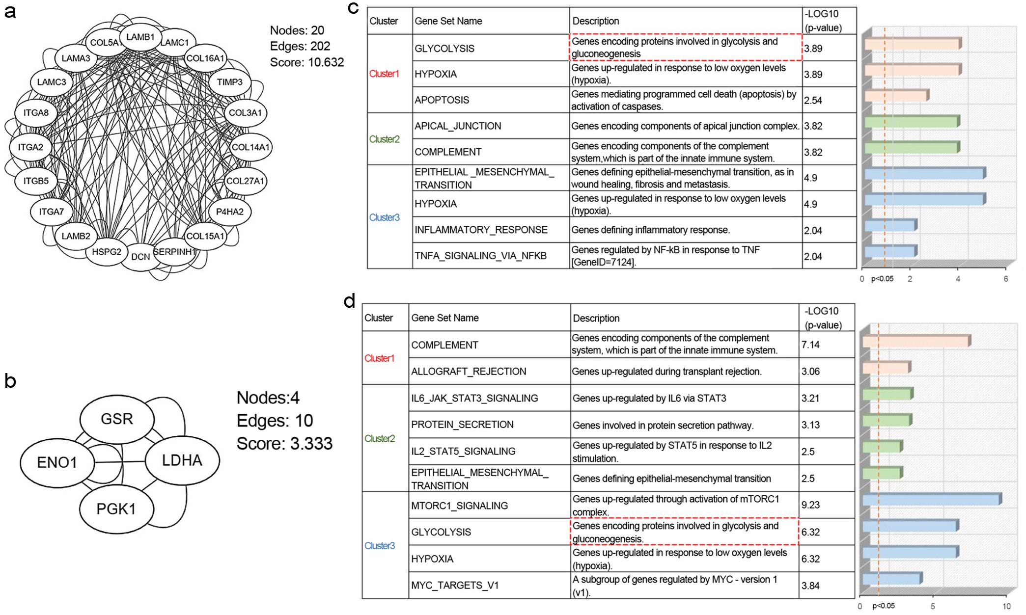 Constructing the protein-protein interaction network and performing functional enrichment of clusters by “MCODE” analysis.