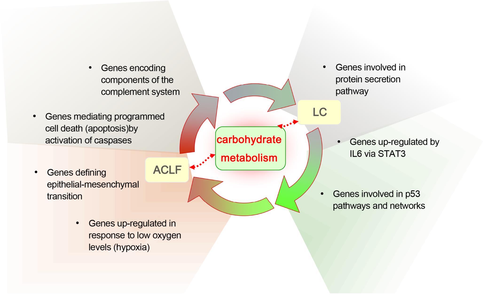The disease association hypothesis route.