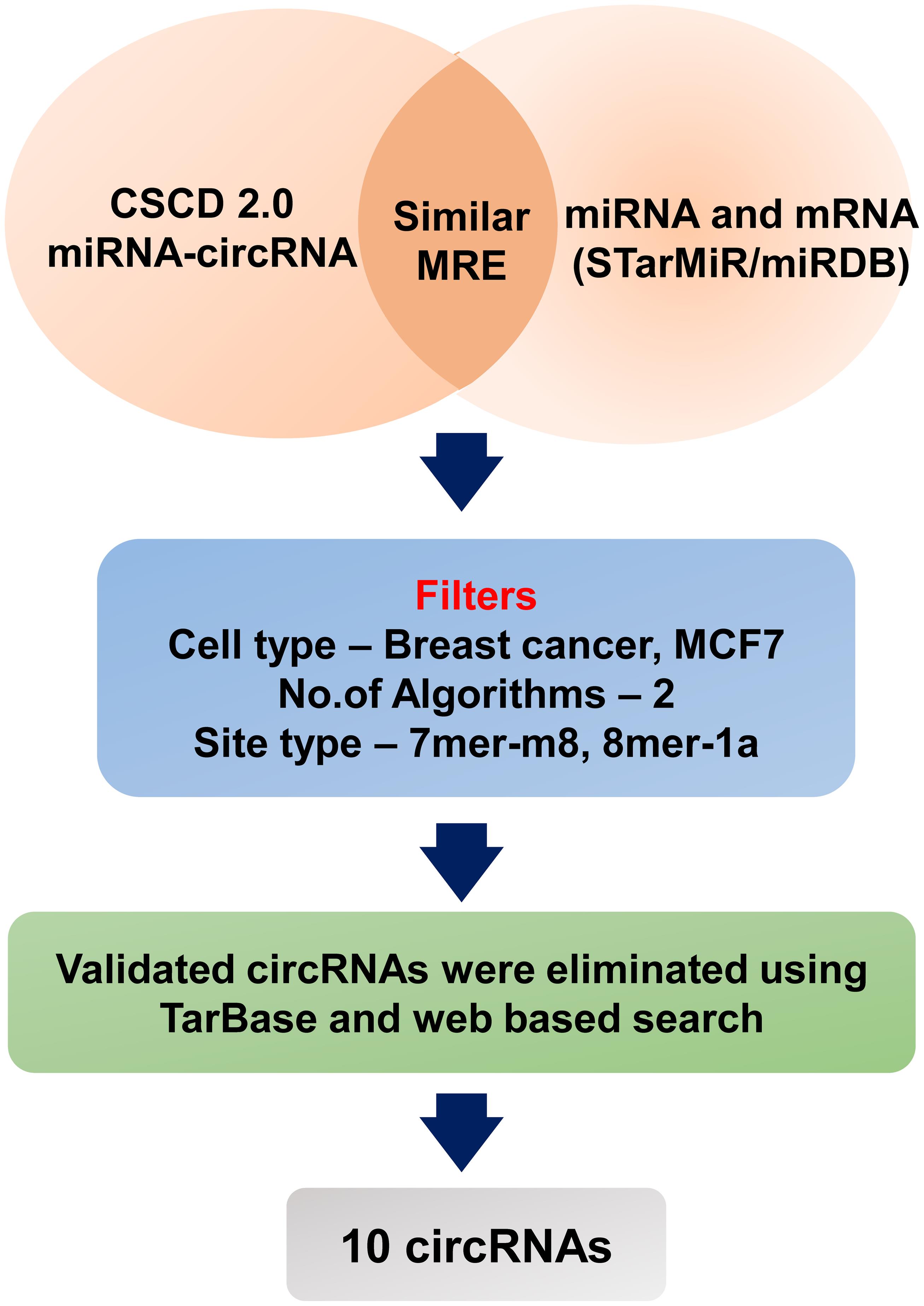 <italic>In-silico</italic> identification of circRNAs that putatively target miR-4638-3p.