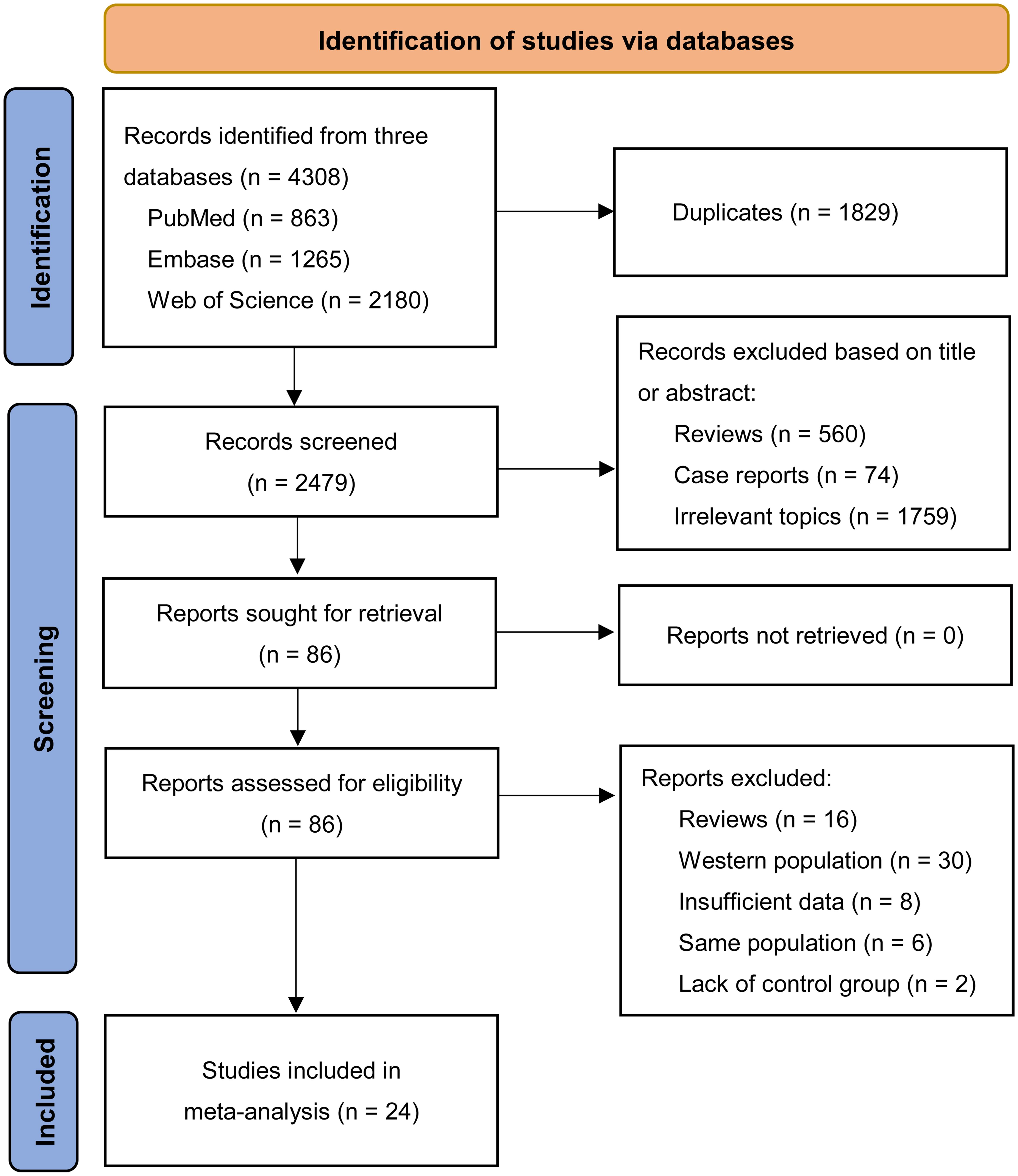 Flowchart of the systematic search and selection process.