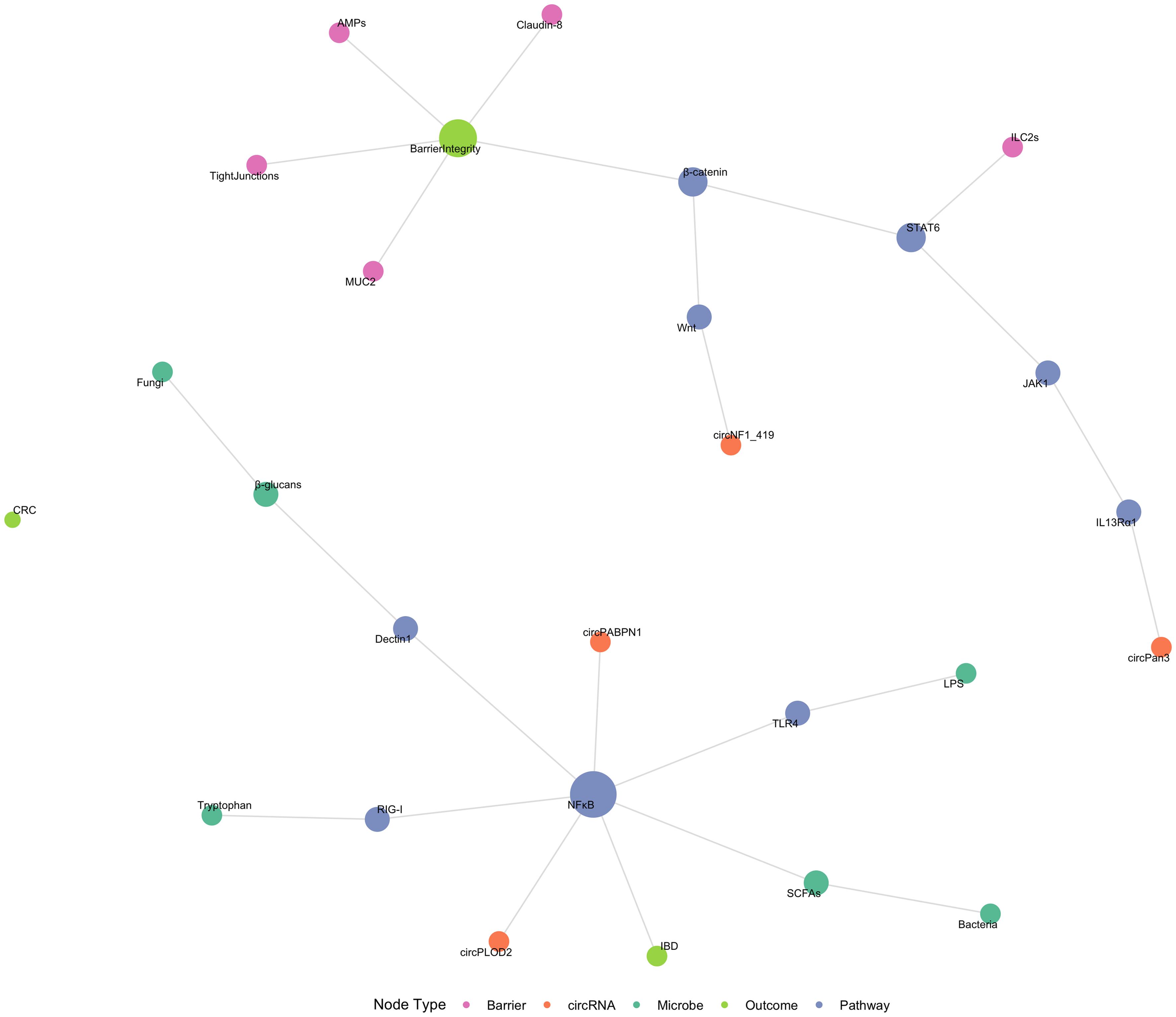 Multi-level circRNA–microbiome–gut barrier regulatory network.